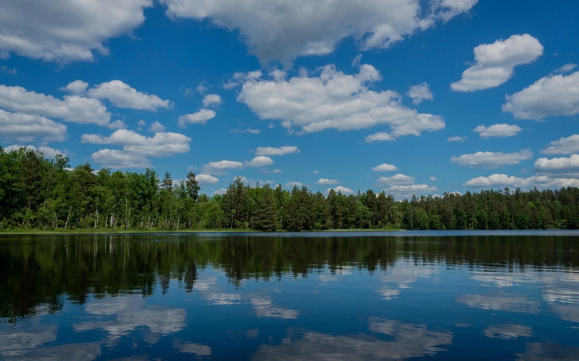 Peaceful river flowing through lush green forest image