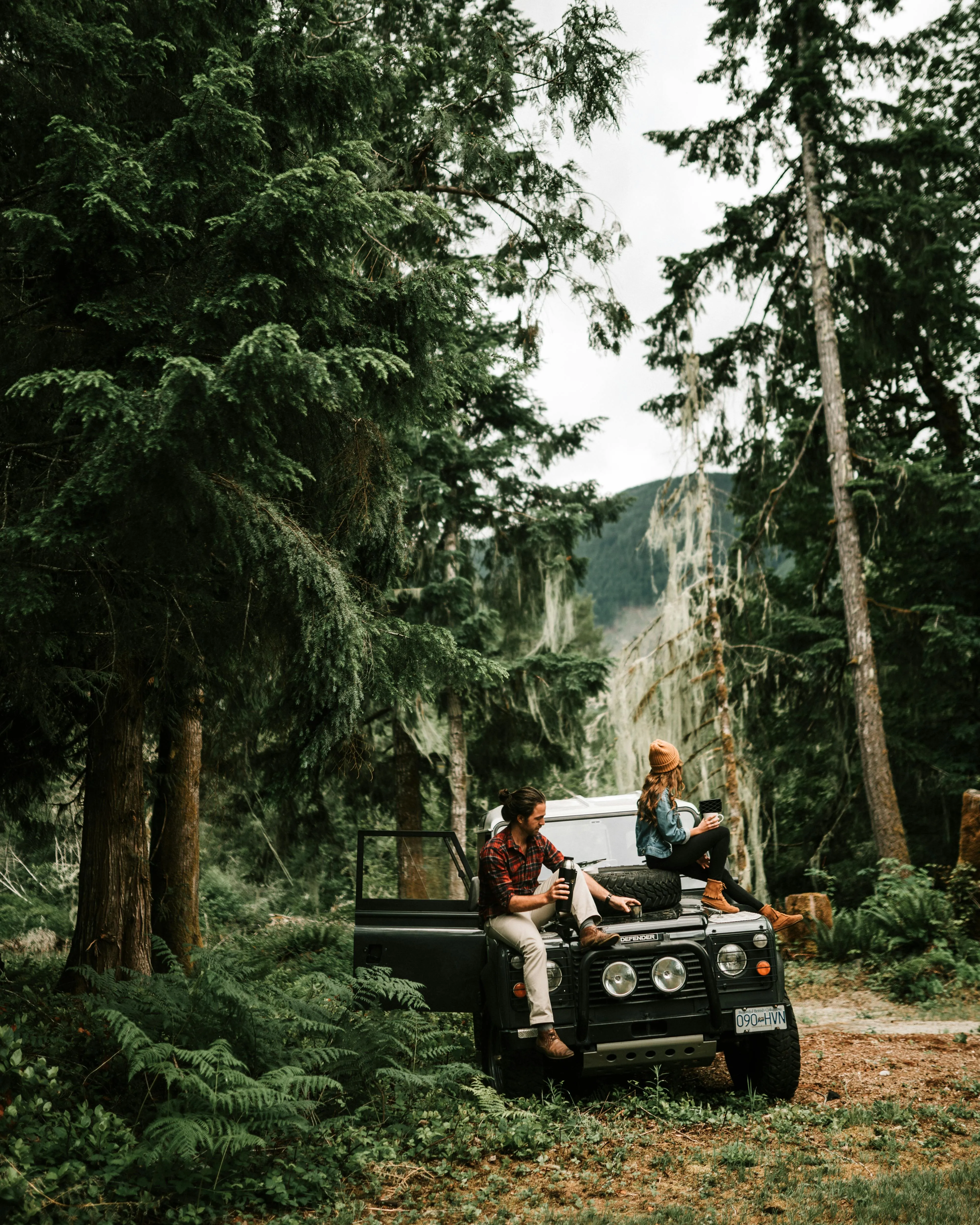People Sitting in a Vehicle Surrounded by Tall Pine Trees
