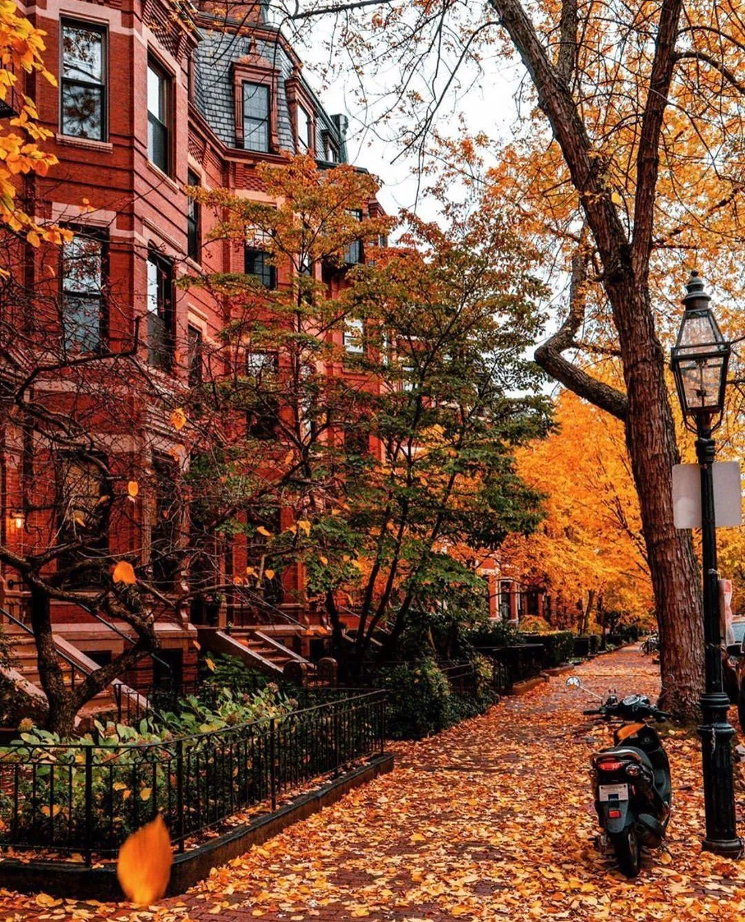 People Walking By Red Buildings with Autumn Trees