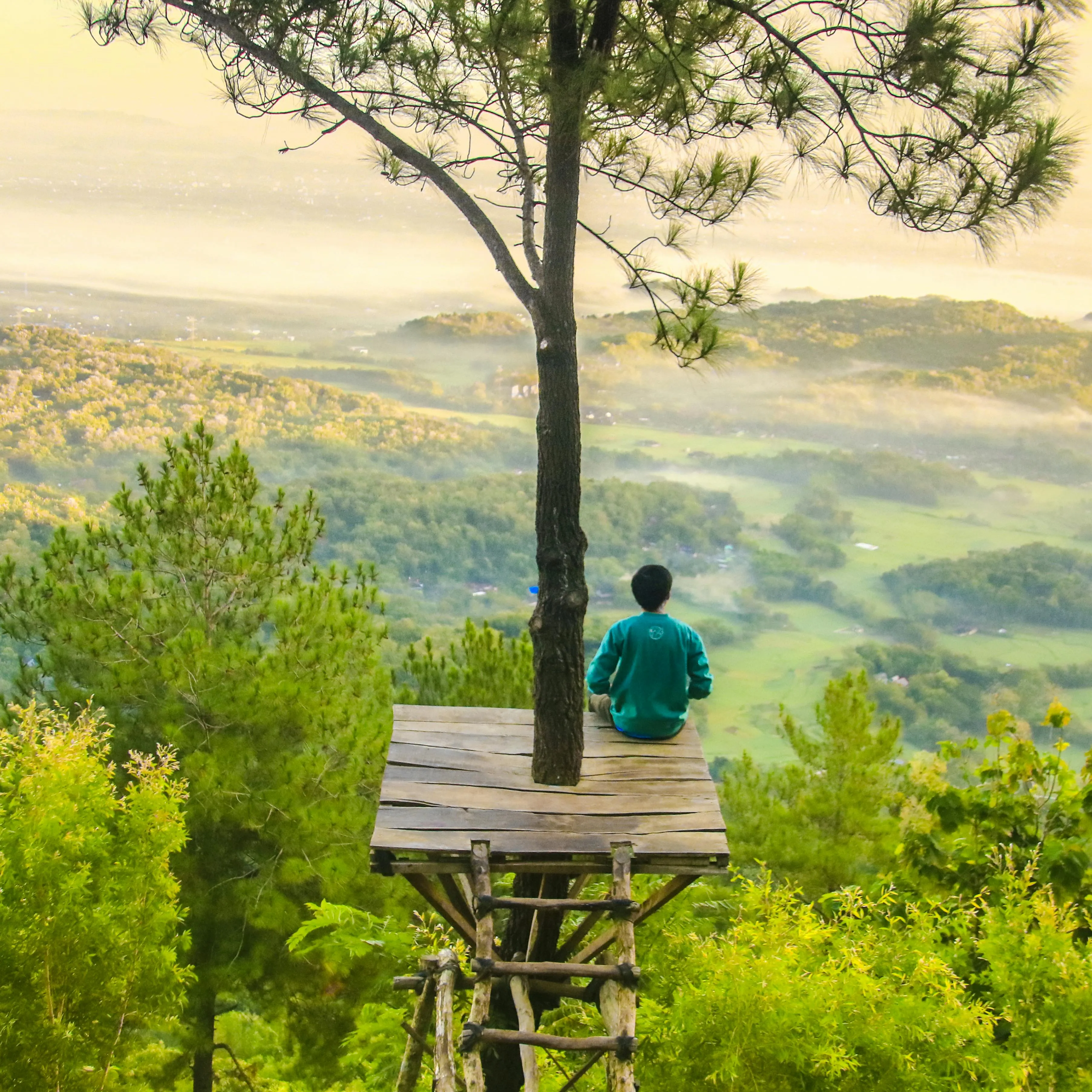Person Enjoying Mountain View From Forest Wooden Platform