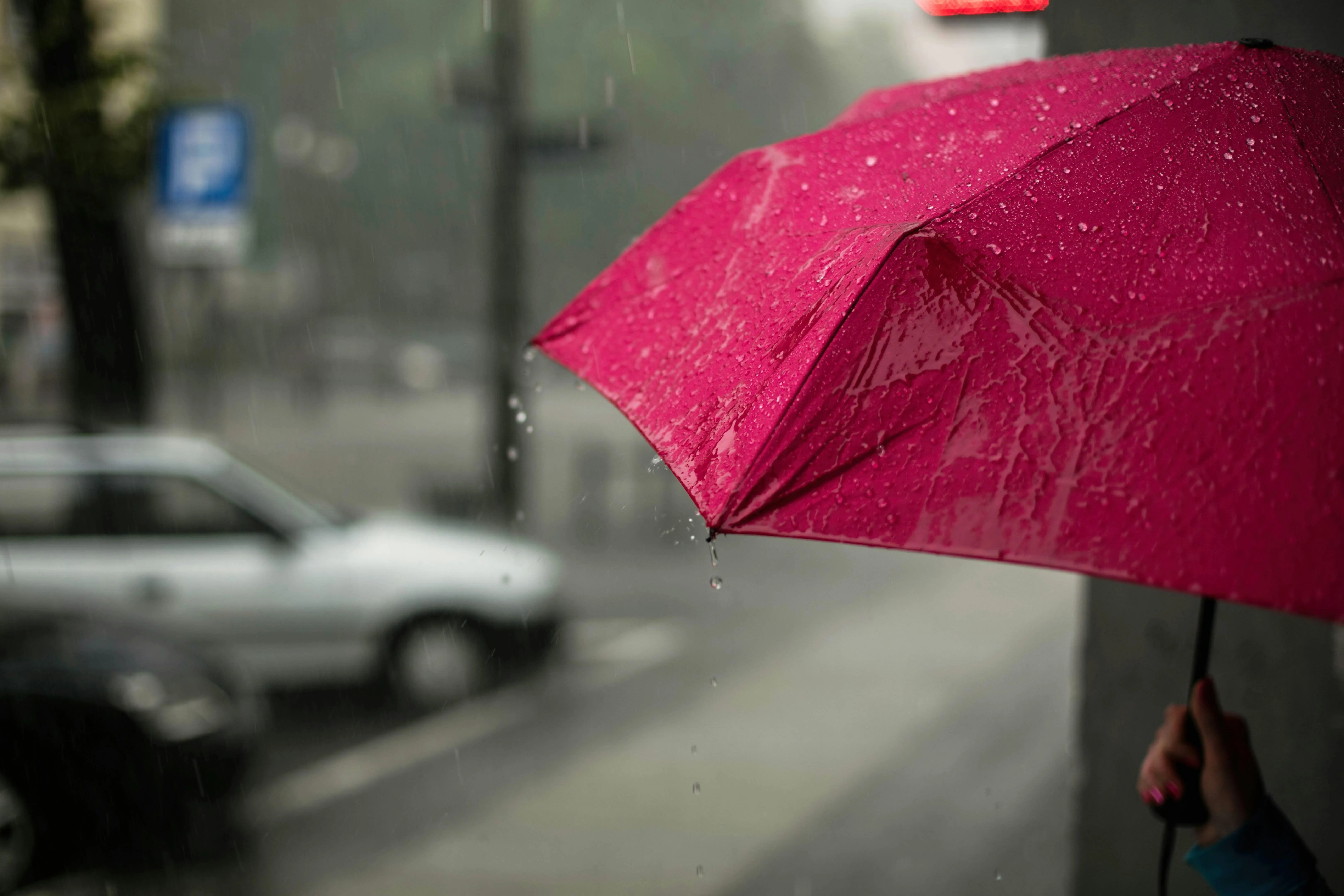 Person Holding Pink Umbrella in Rainy Urban Environment