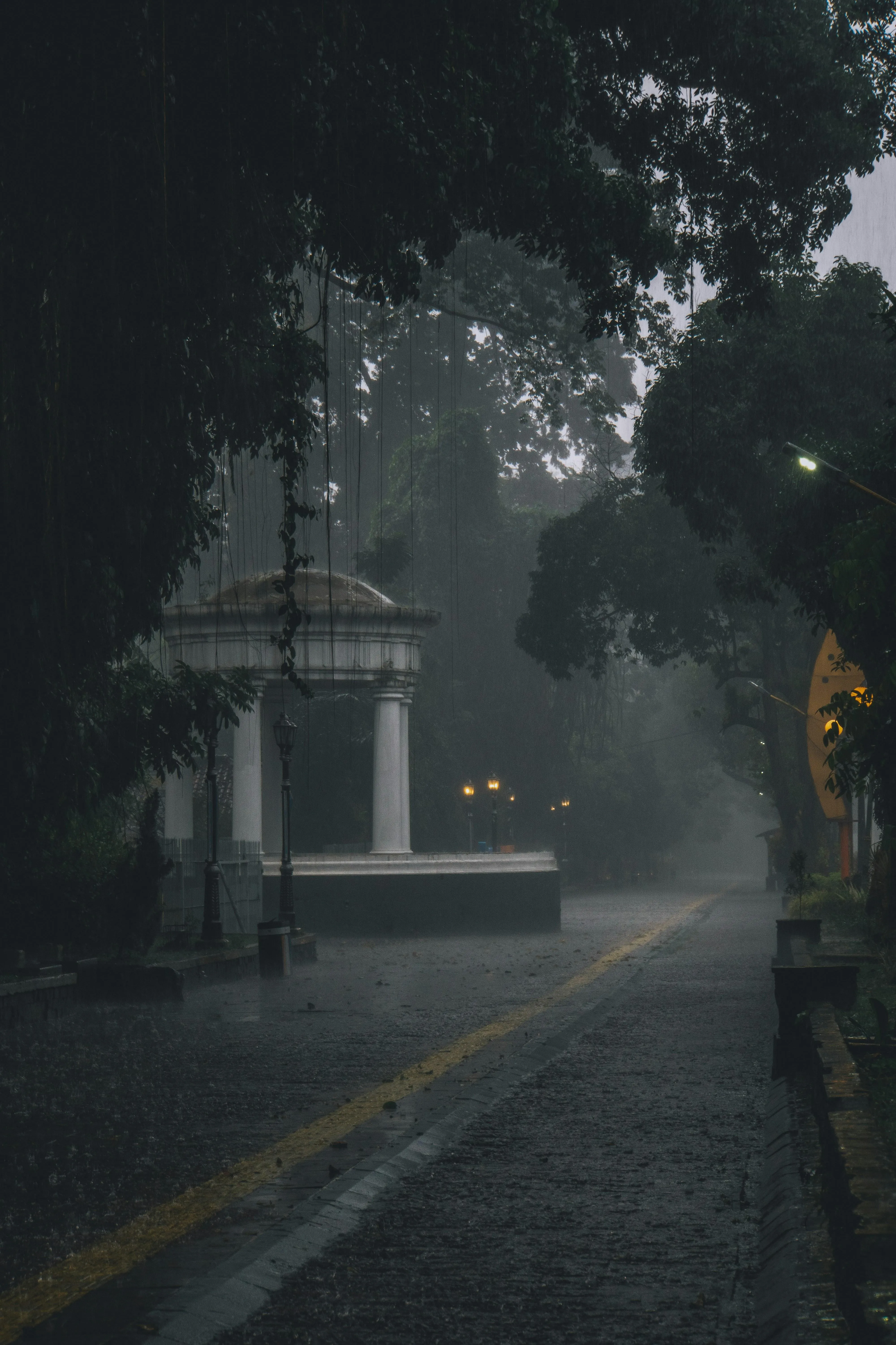 Person Standing Alone Under Streetlight in Rain Image