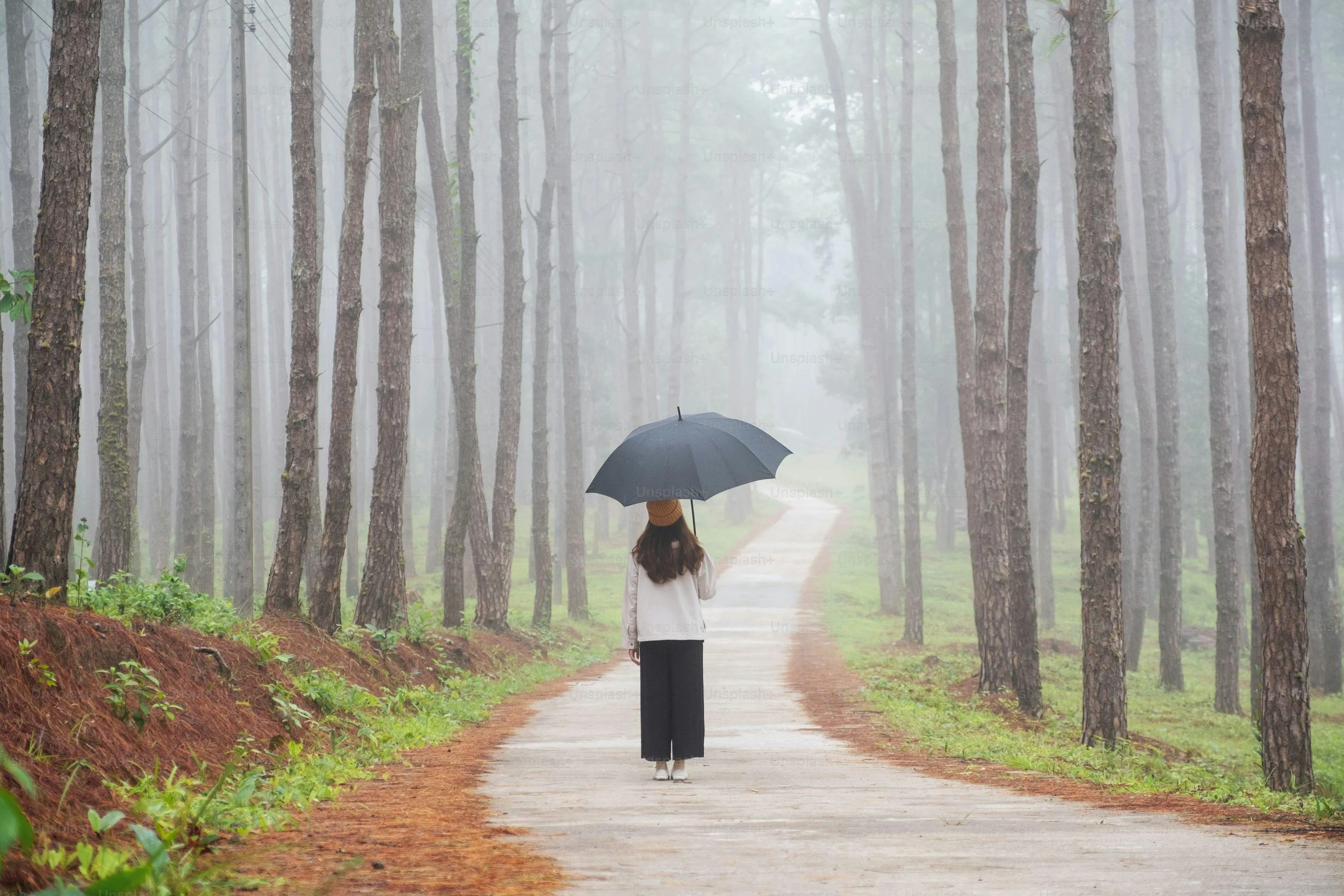 Person Walking on Forest Trail Under Umbrella in Rain