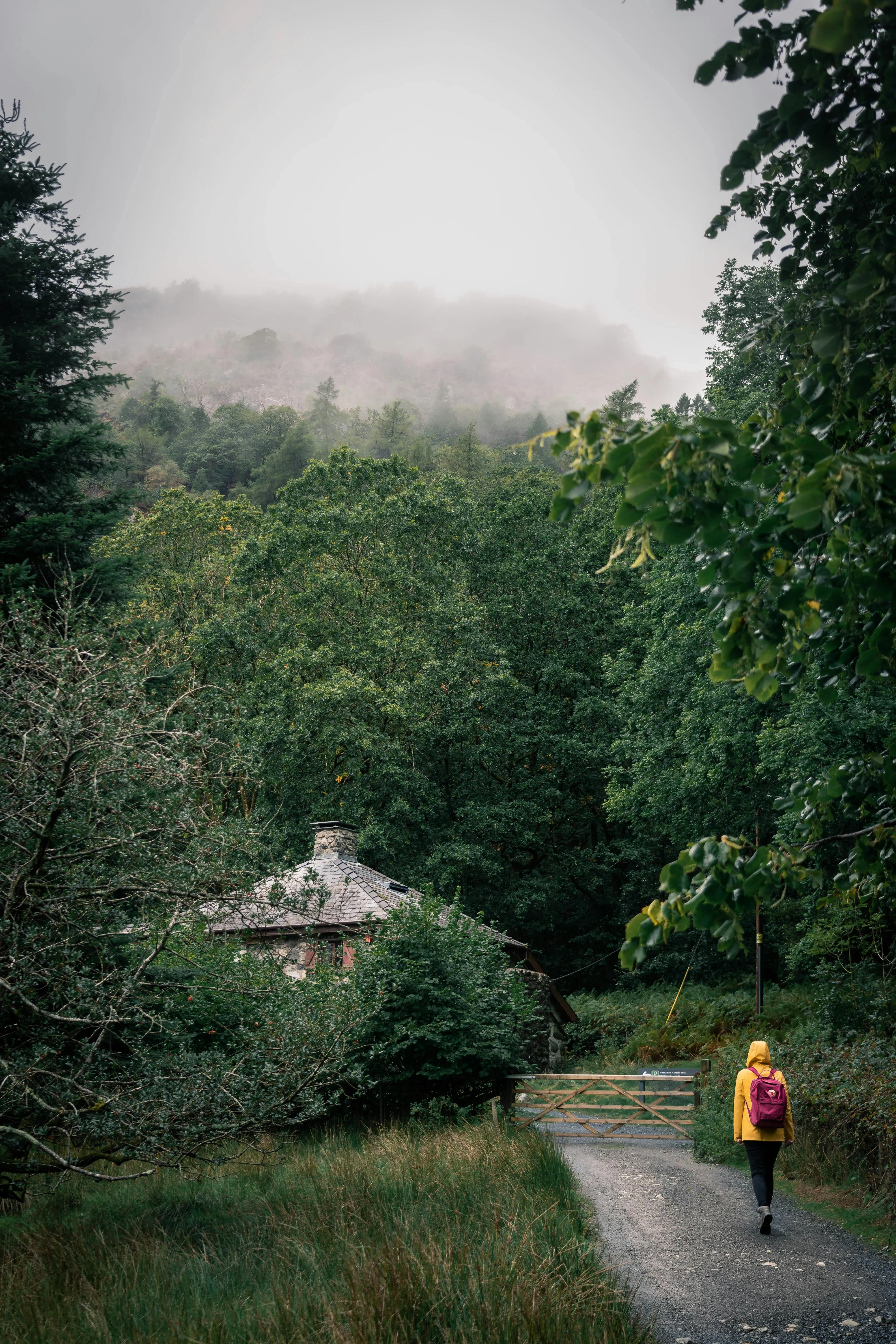 Person Walking Toward a Cabin Surrounded by Green Woods