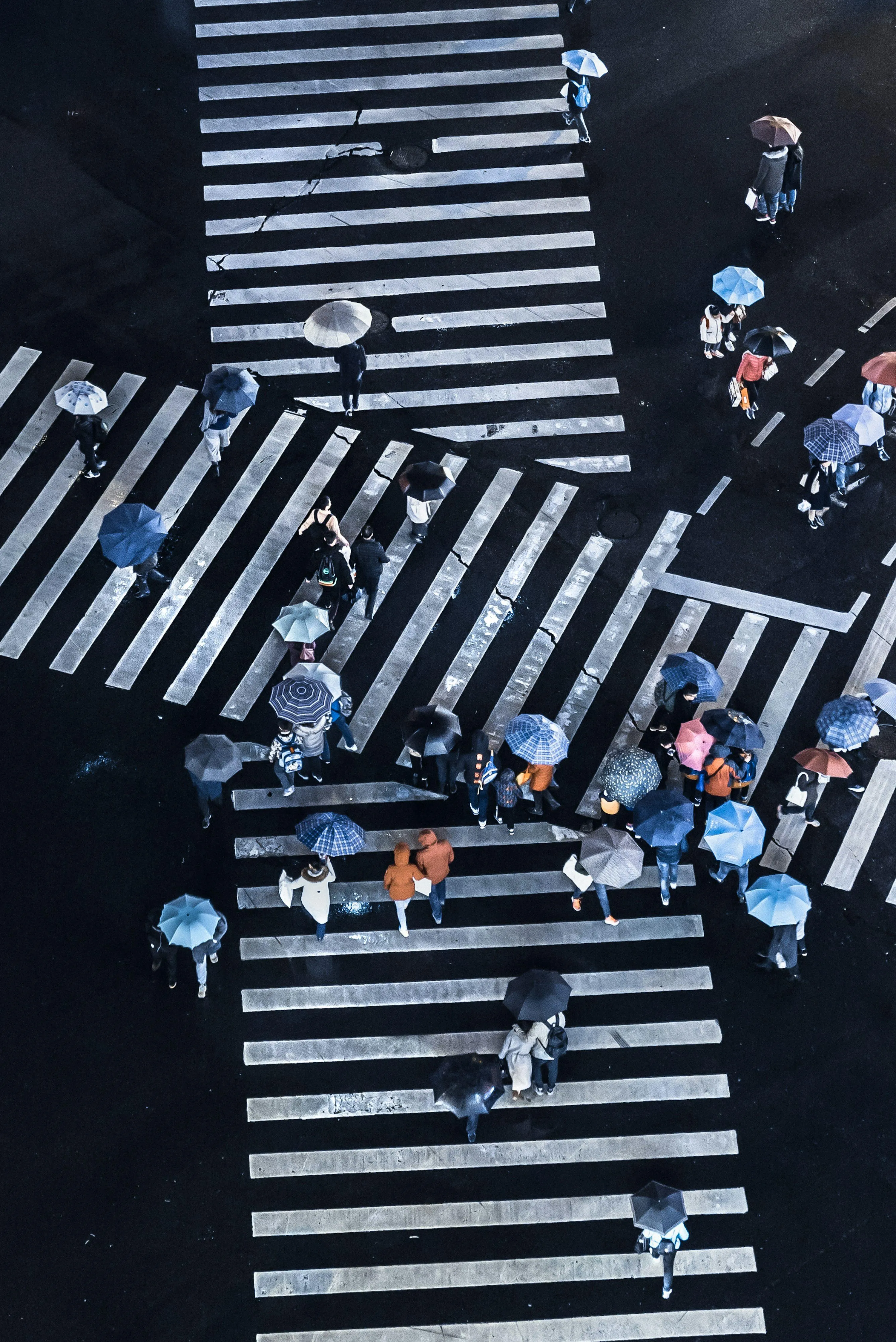 Person with Striped Umbrella Crossing Wet Crosswalk