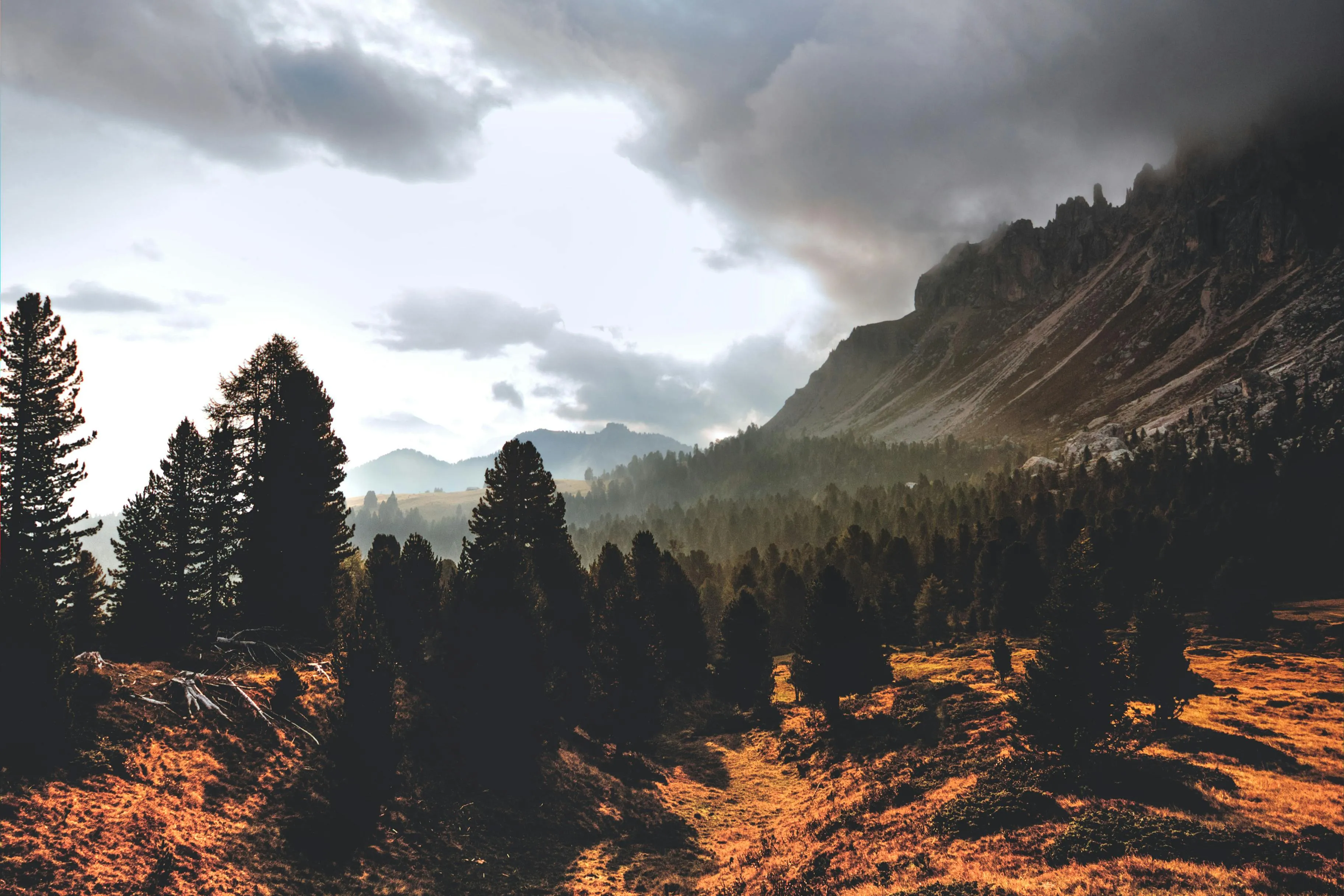 Pine Forest and Mountains Under Dramatic Cloudy Skies