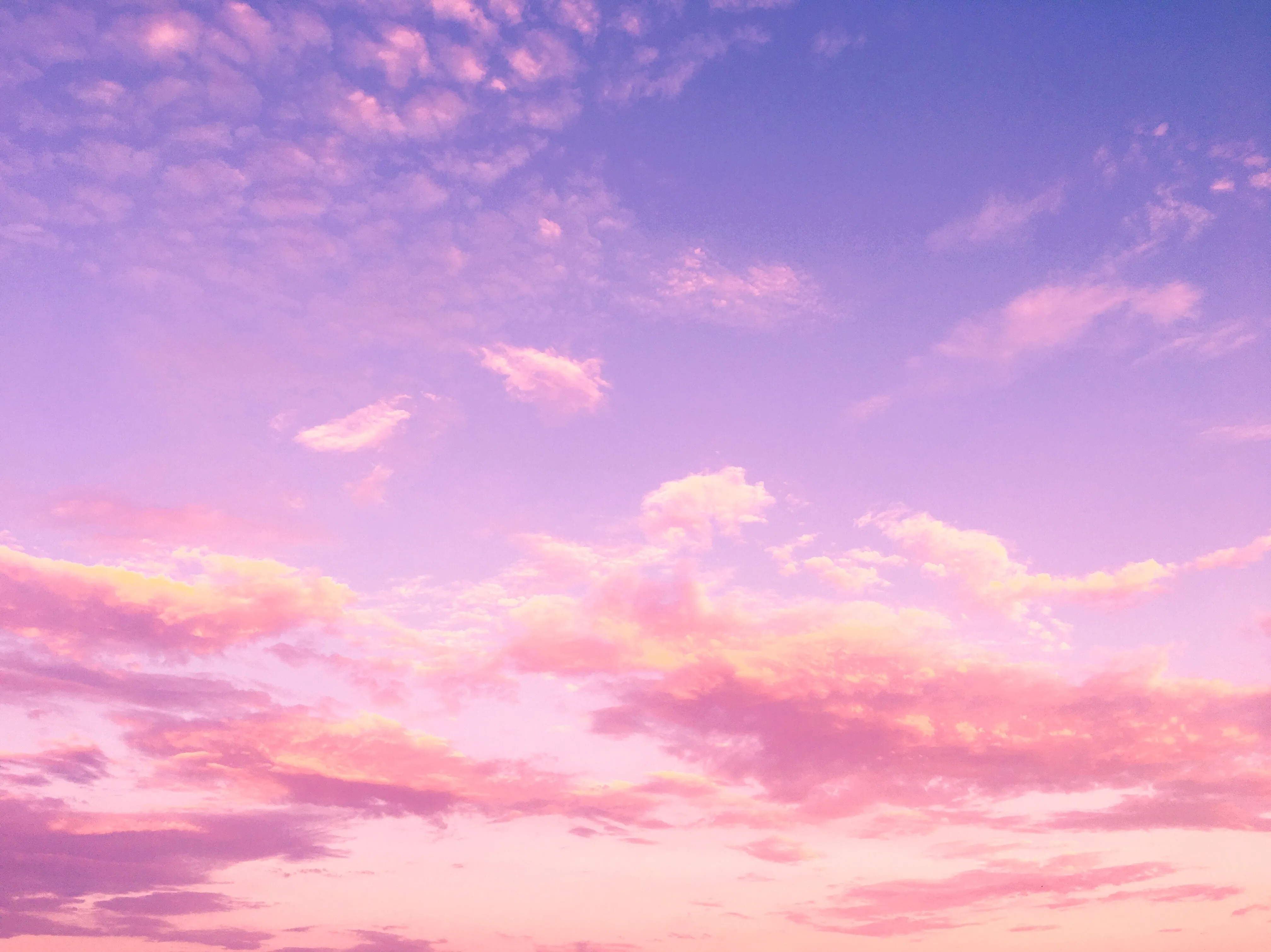 Pink and Purple Evening Sky with Soft Delicate Clouds
