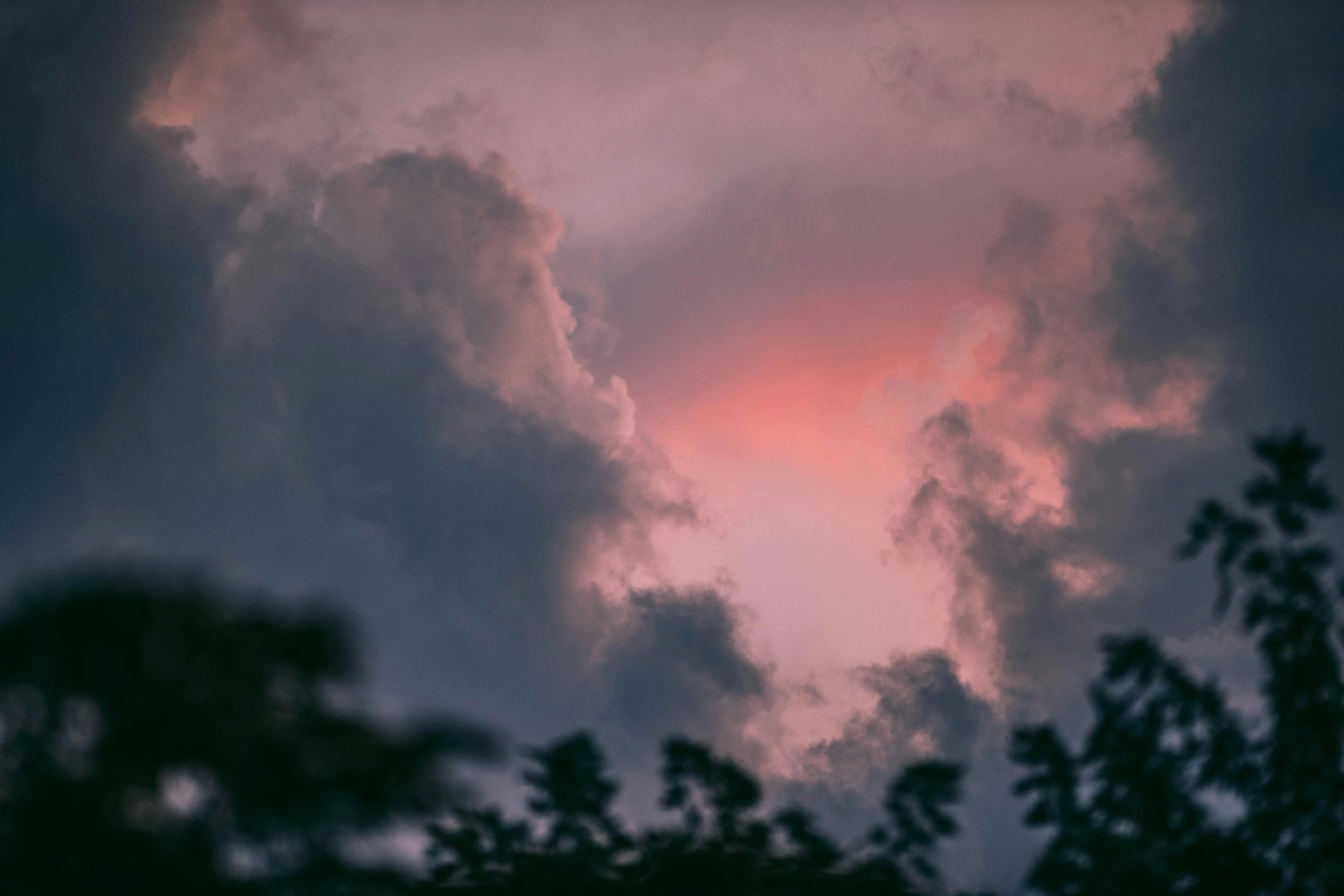 Pink Clouds Over Trees in a Peaceful Evening Sky Image