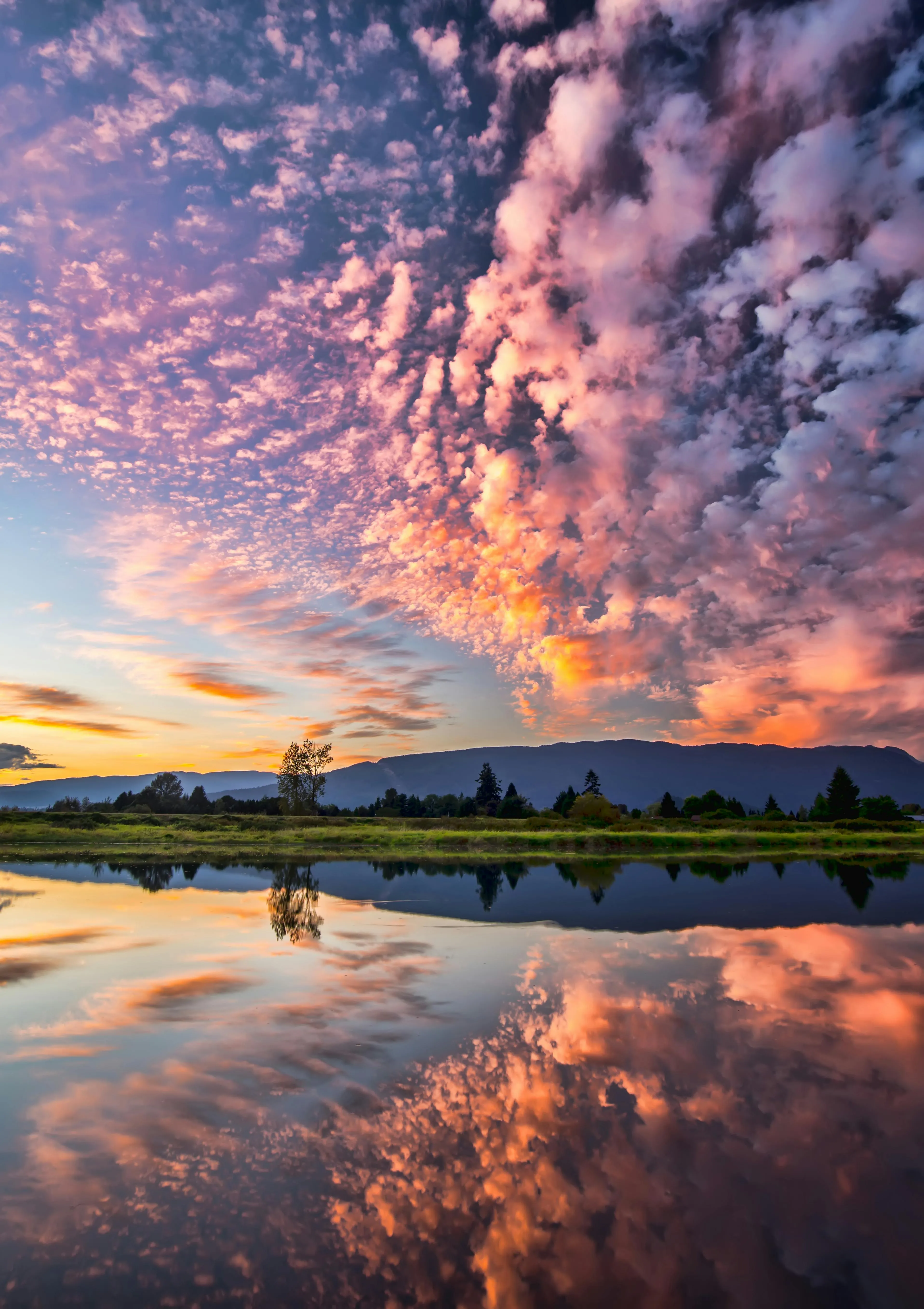 Pink Clouds Reflecting in Calm Water During Sunset Image