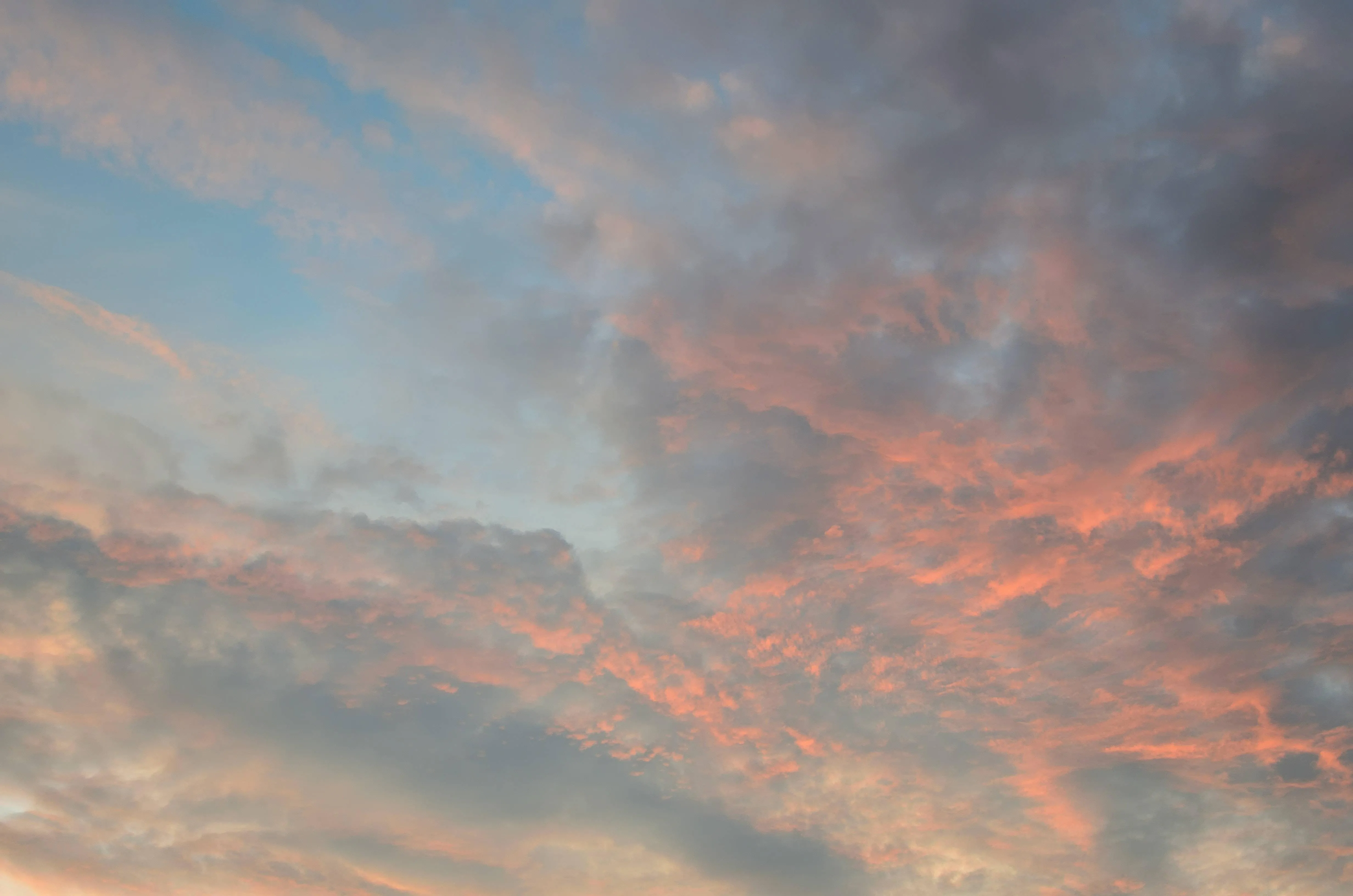 Pink Clouds Swirling in Blue Evening Sky Scene Wallpaper