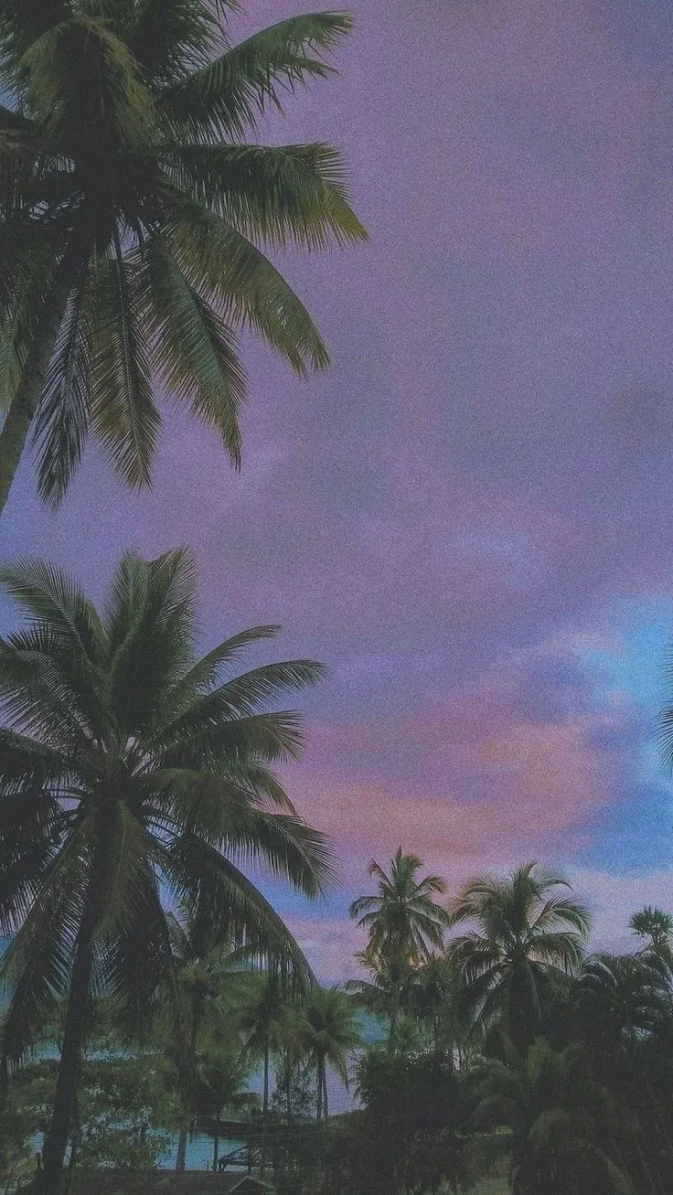 Portrait of Palm Trees Against Purple and Pink Evening Sky