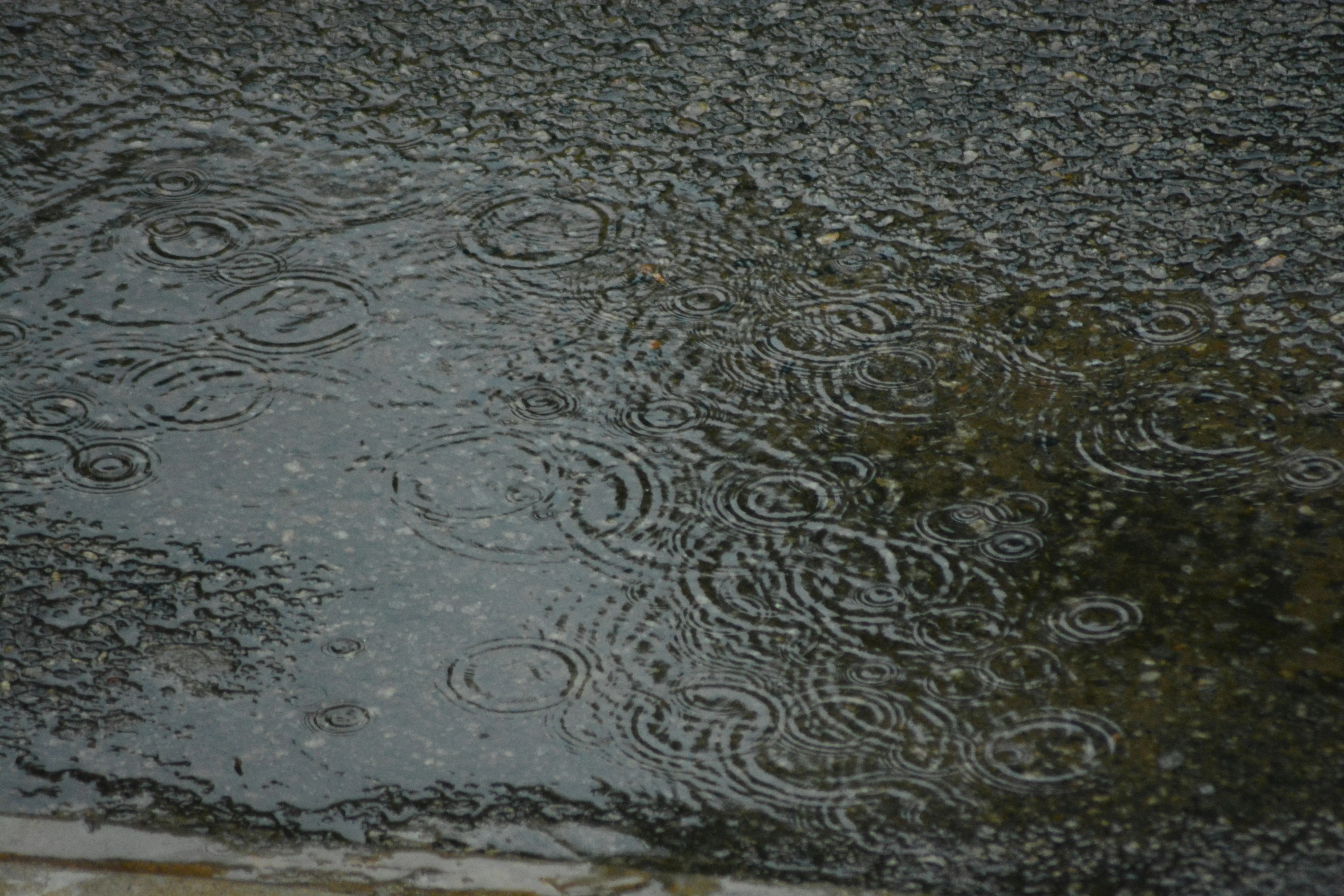 Puddle Ripples Forming on Asphalt After Rain Wallpaper