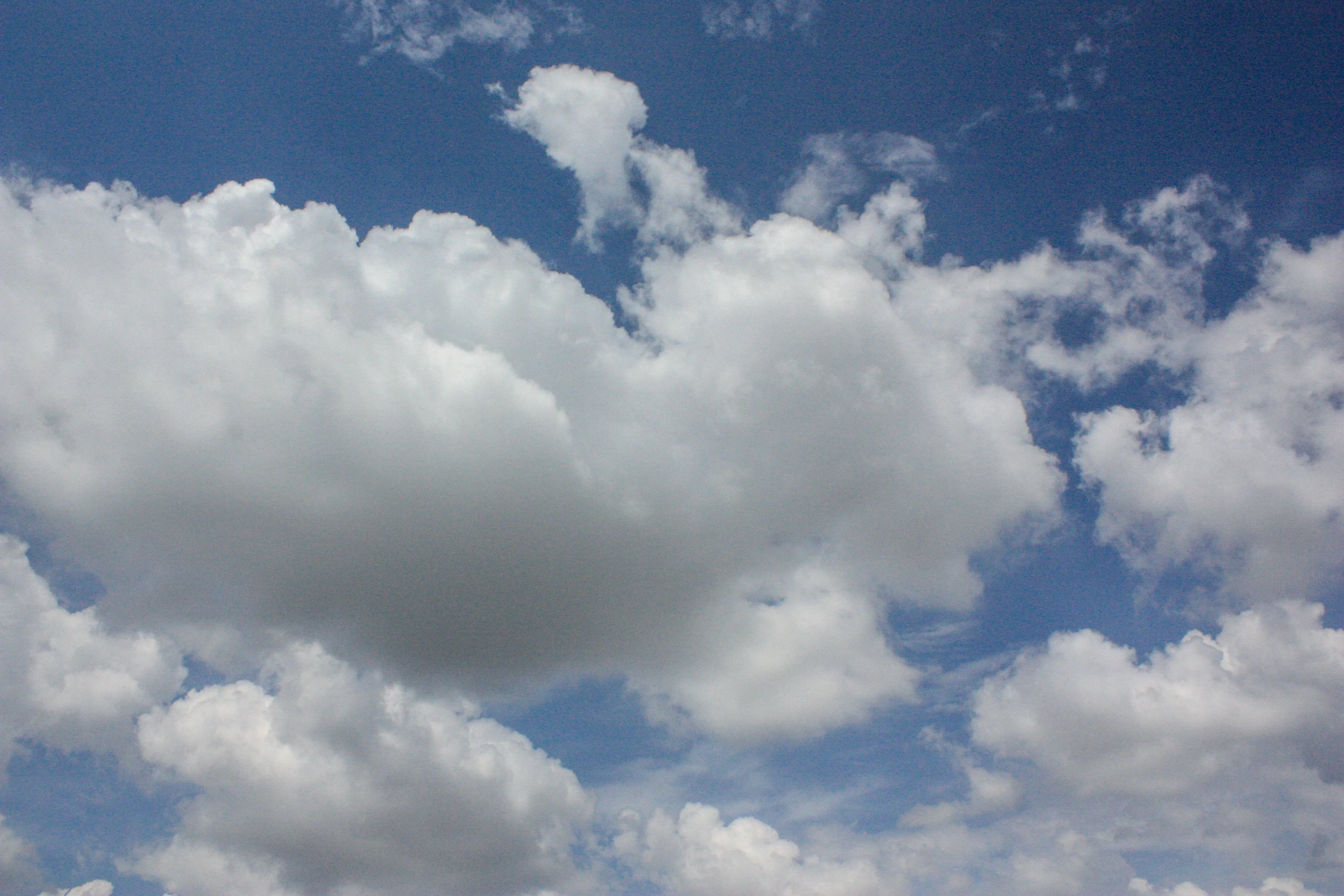 Puffy White Clouds Floating Over a Clear Sky Free Image