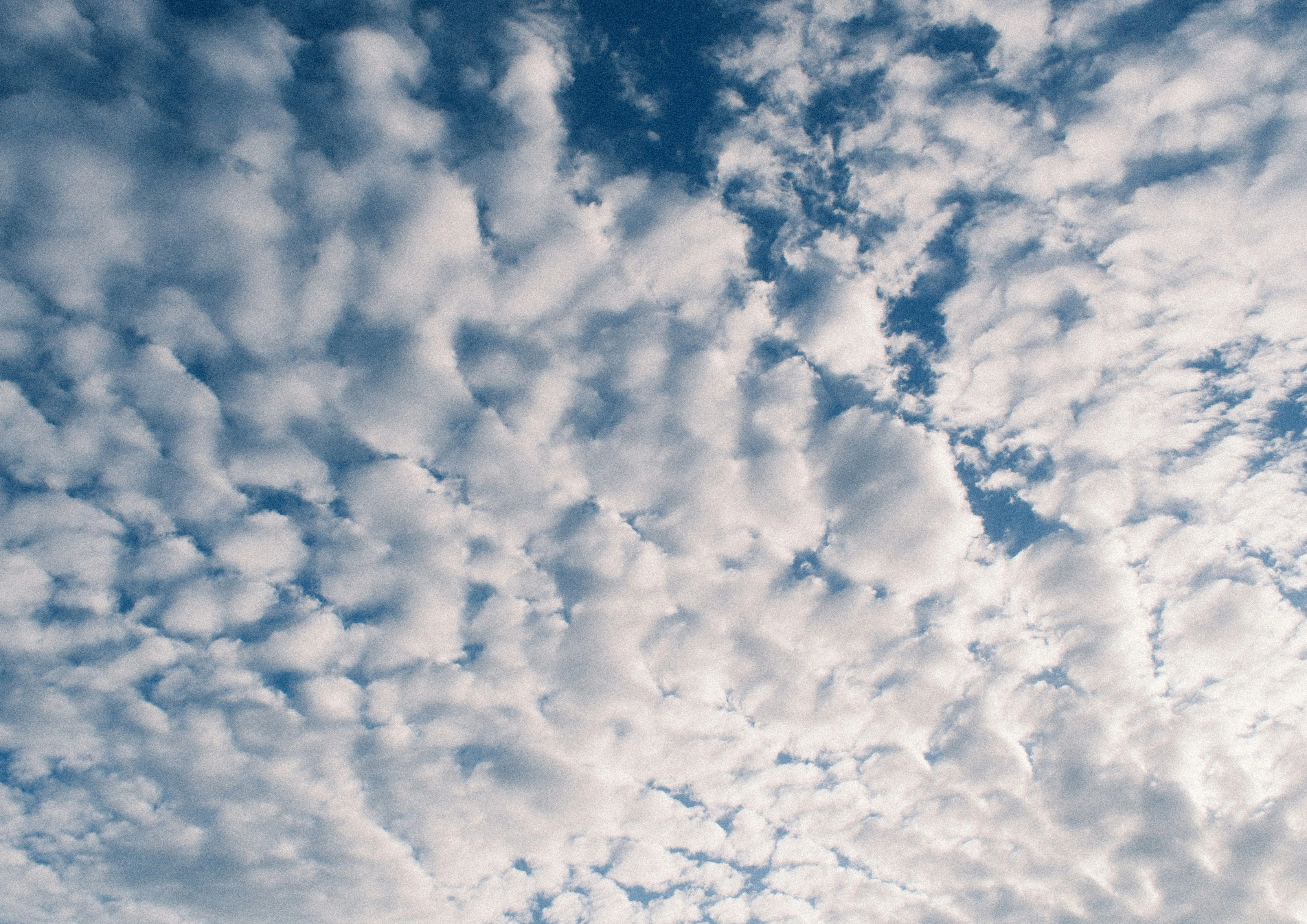 Puffy White Clouds Forming a Textured Sky Layer Wallpaper