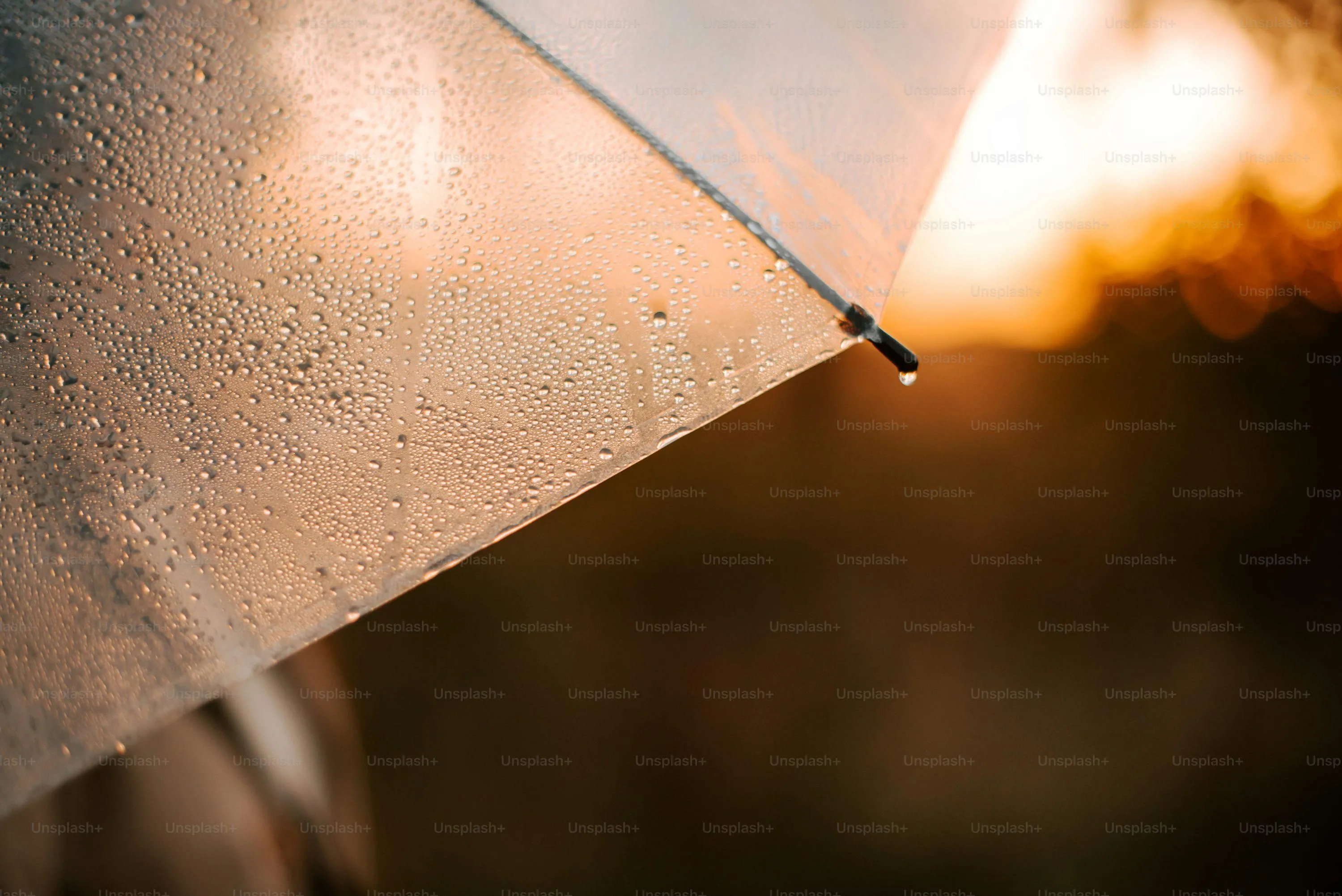 Rain Drops Falling on Glass with Evening Light