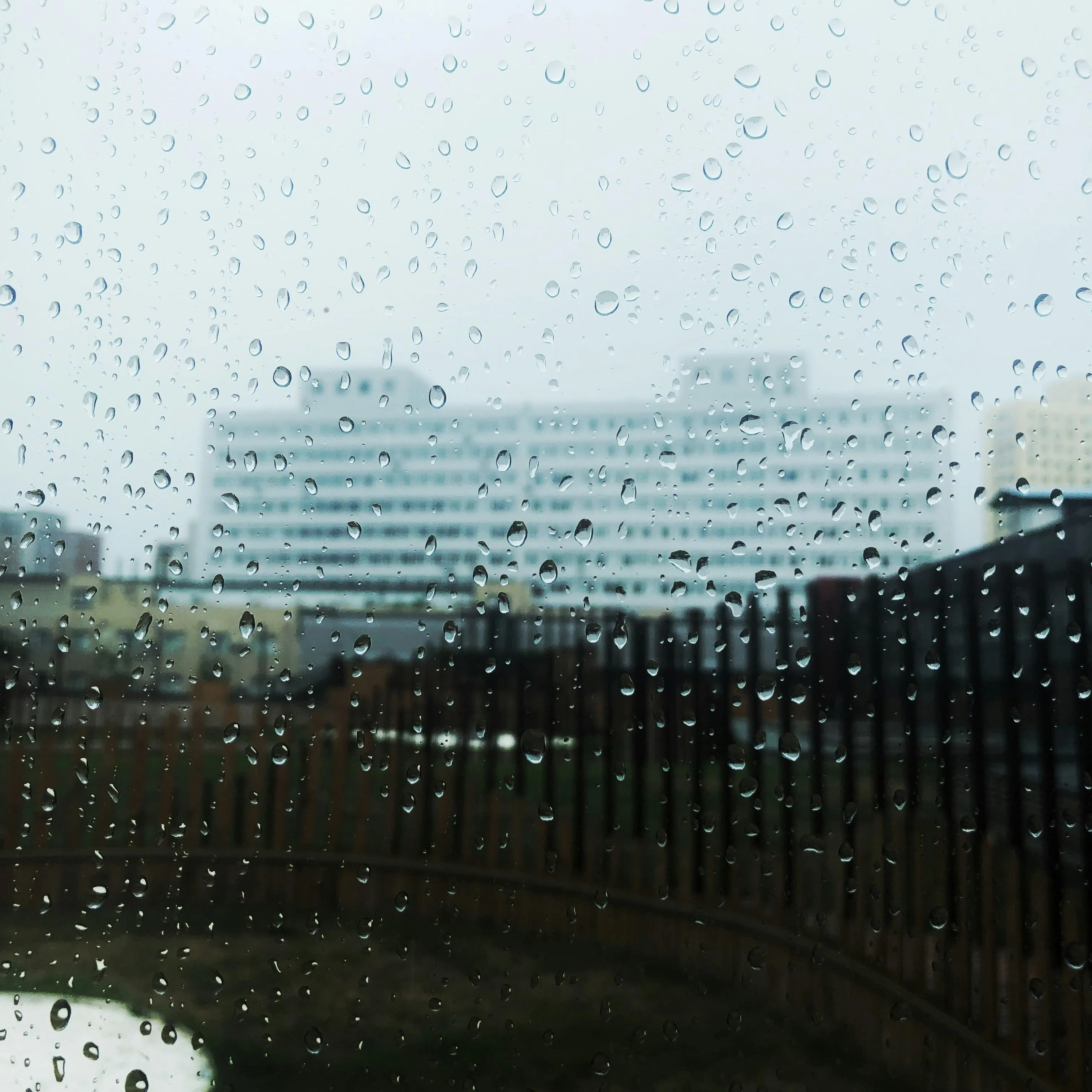 Rain Drops on Window with Blurry Outdoor View Wallpaper