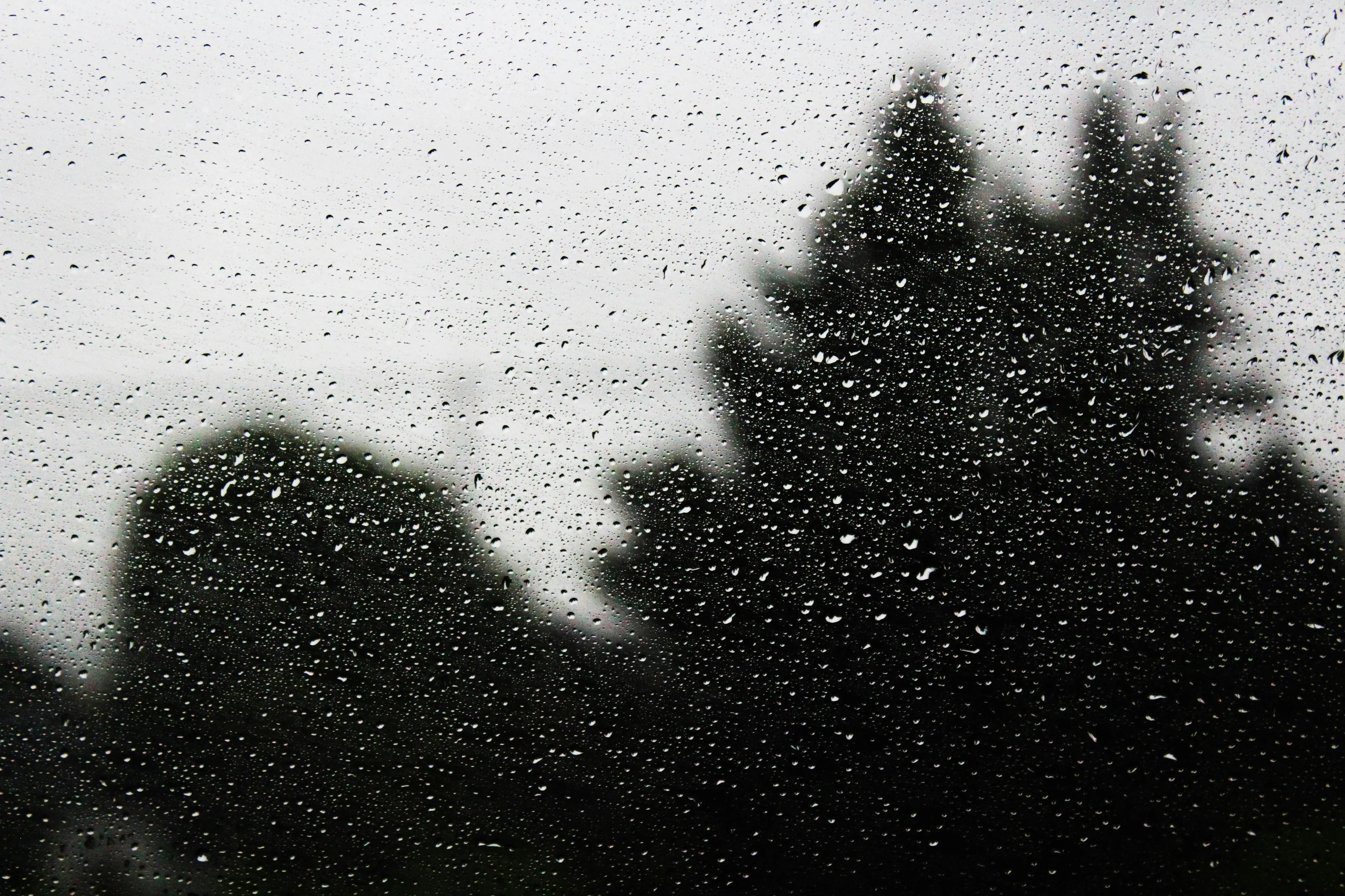 Rain Falling on Landscape with Silhouetted Trees Wallpaper