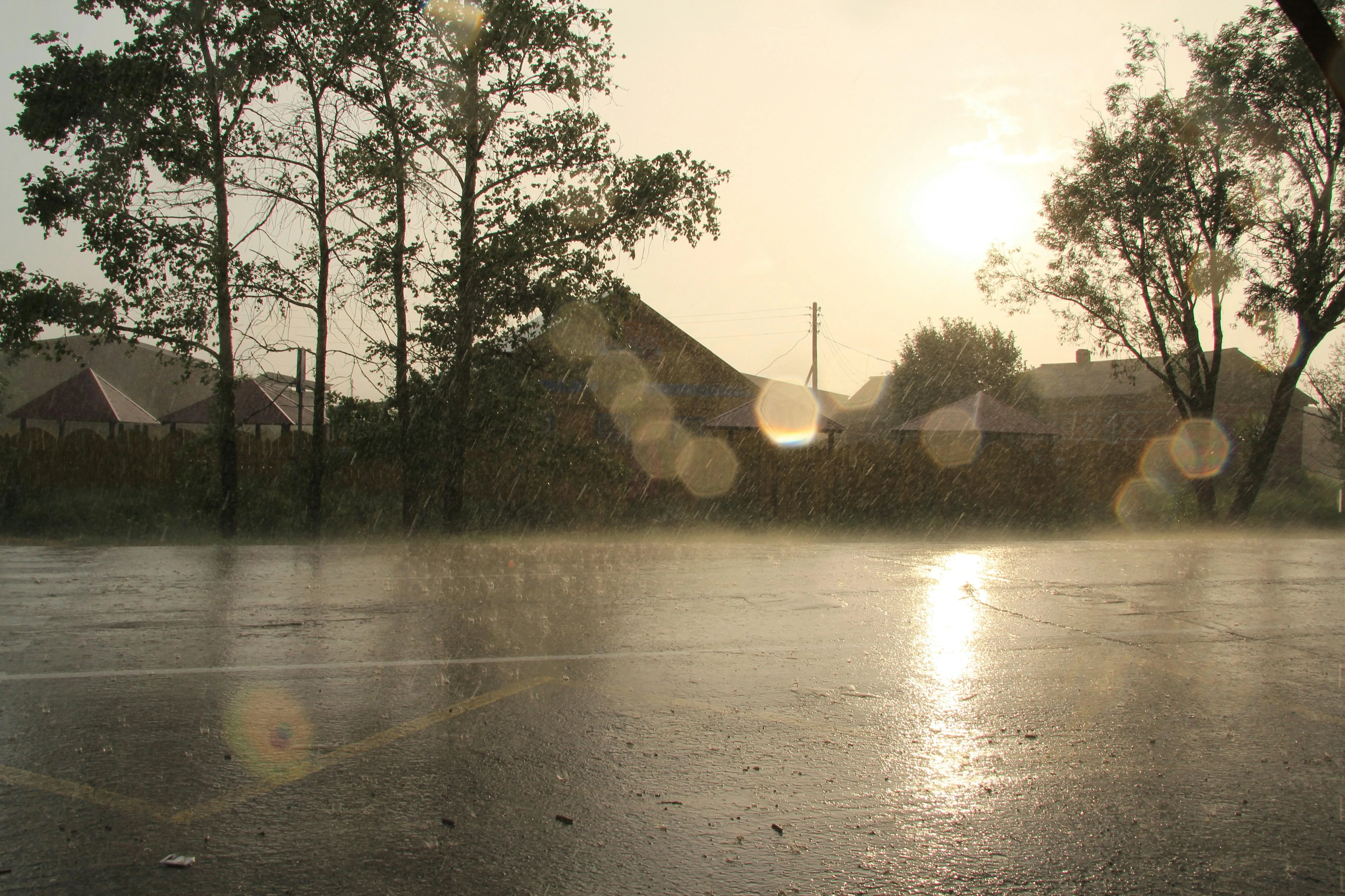 Rain Falling on Quiet Rural Road at Sunrise Wallpaper