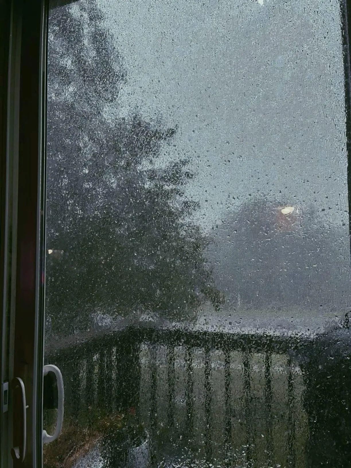 Rain Falling Outside Large Window with Blurry Trees