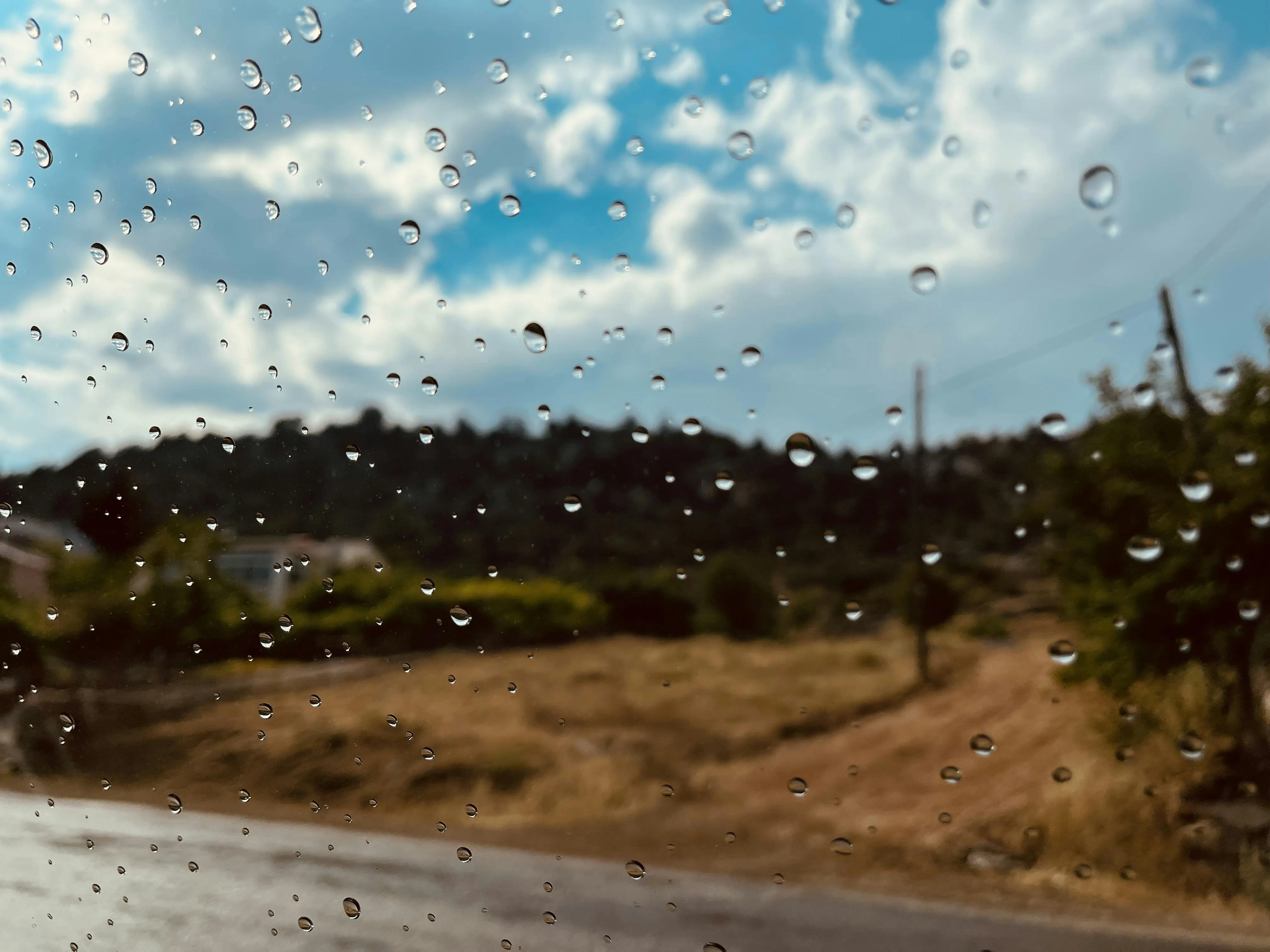 Rain Falling Over Dirt Road with Scattered Vegetation