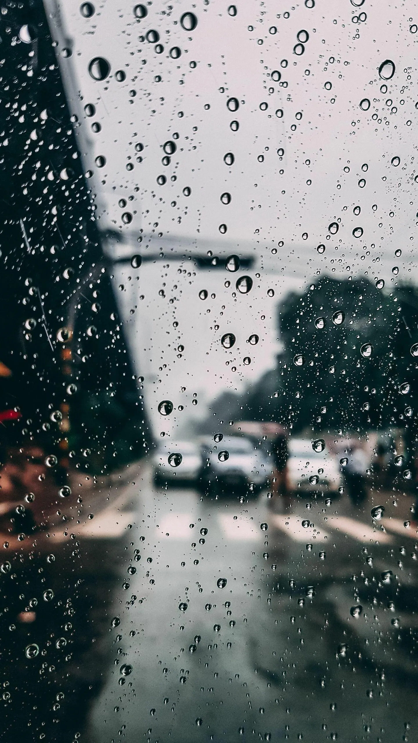 Raindrops Falling on Car Windshield During Urban Evening Rain