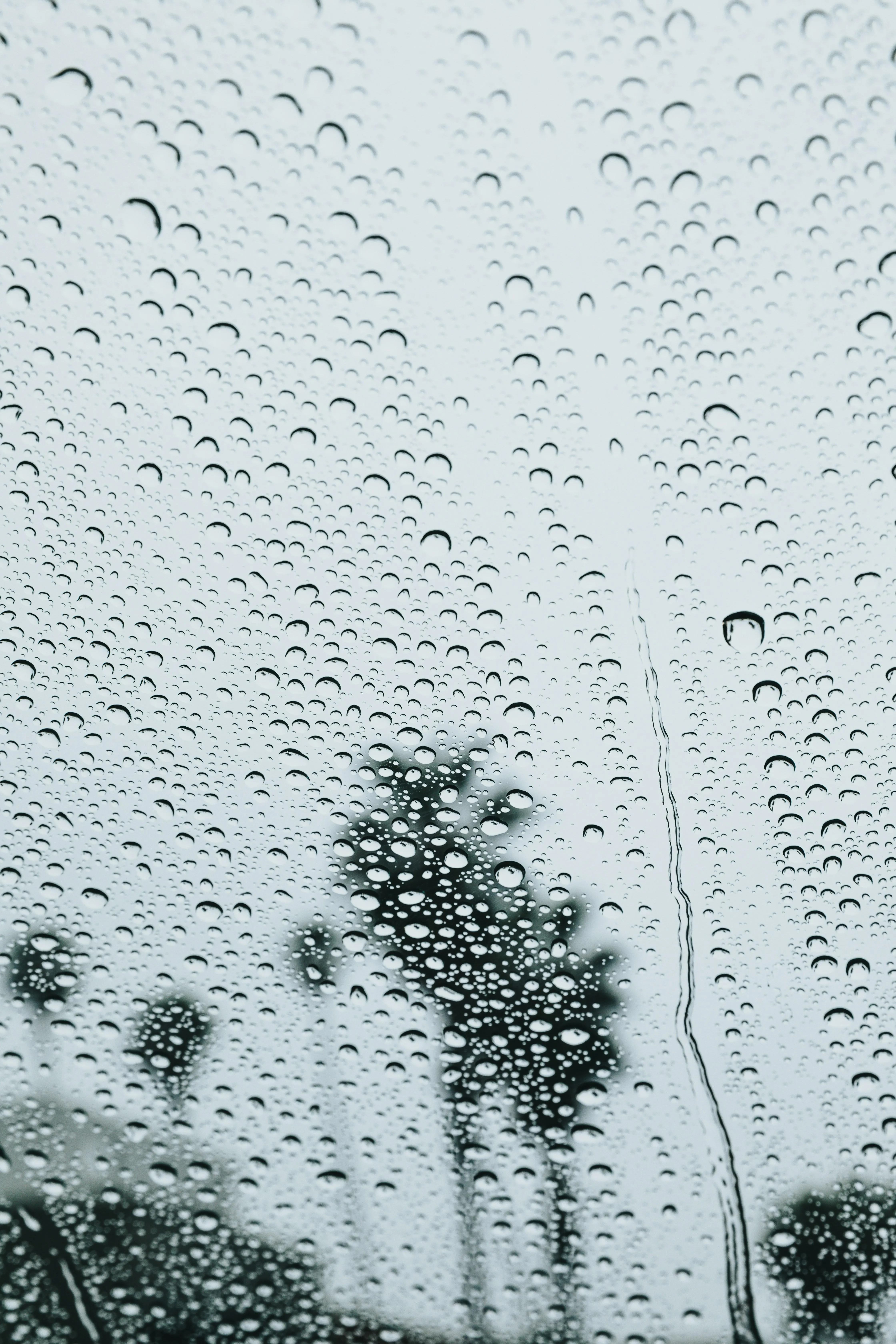 Raindrops on Glass Blurring View of Two Trees Image