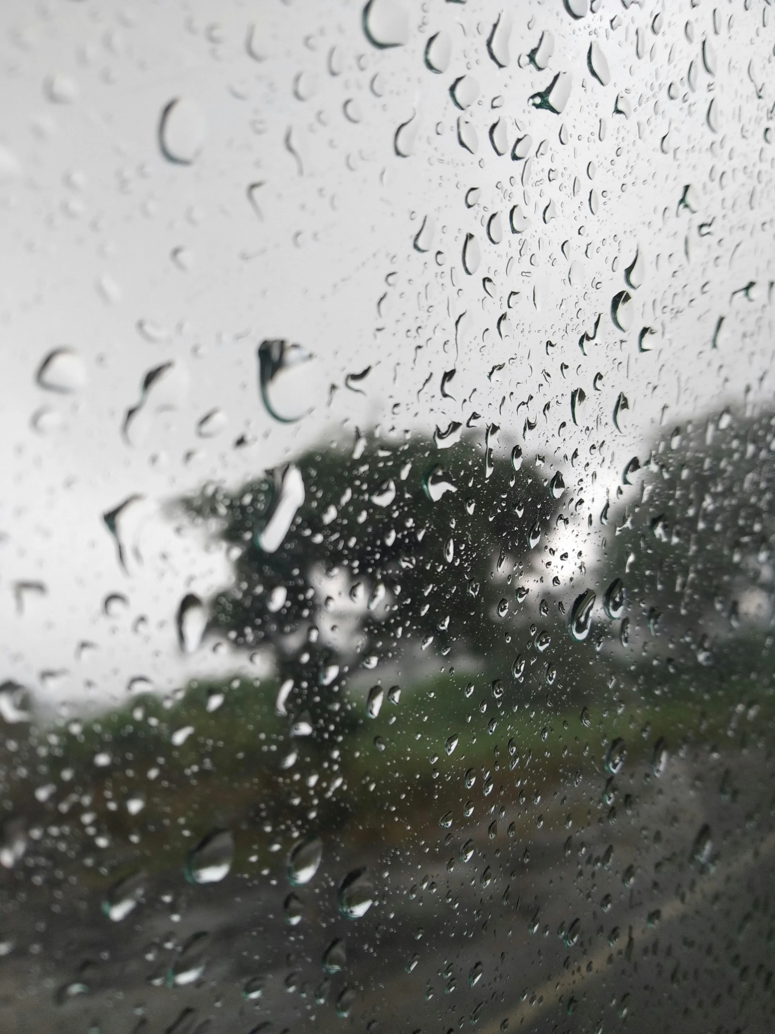Raindrops on Glass with Blurred Outdoor View Wallpaper