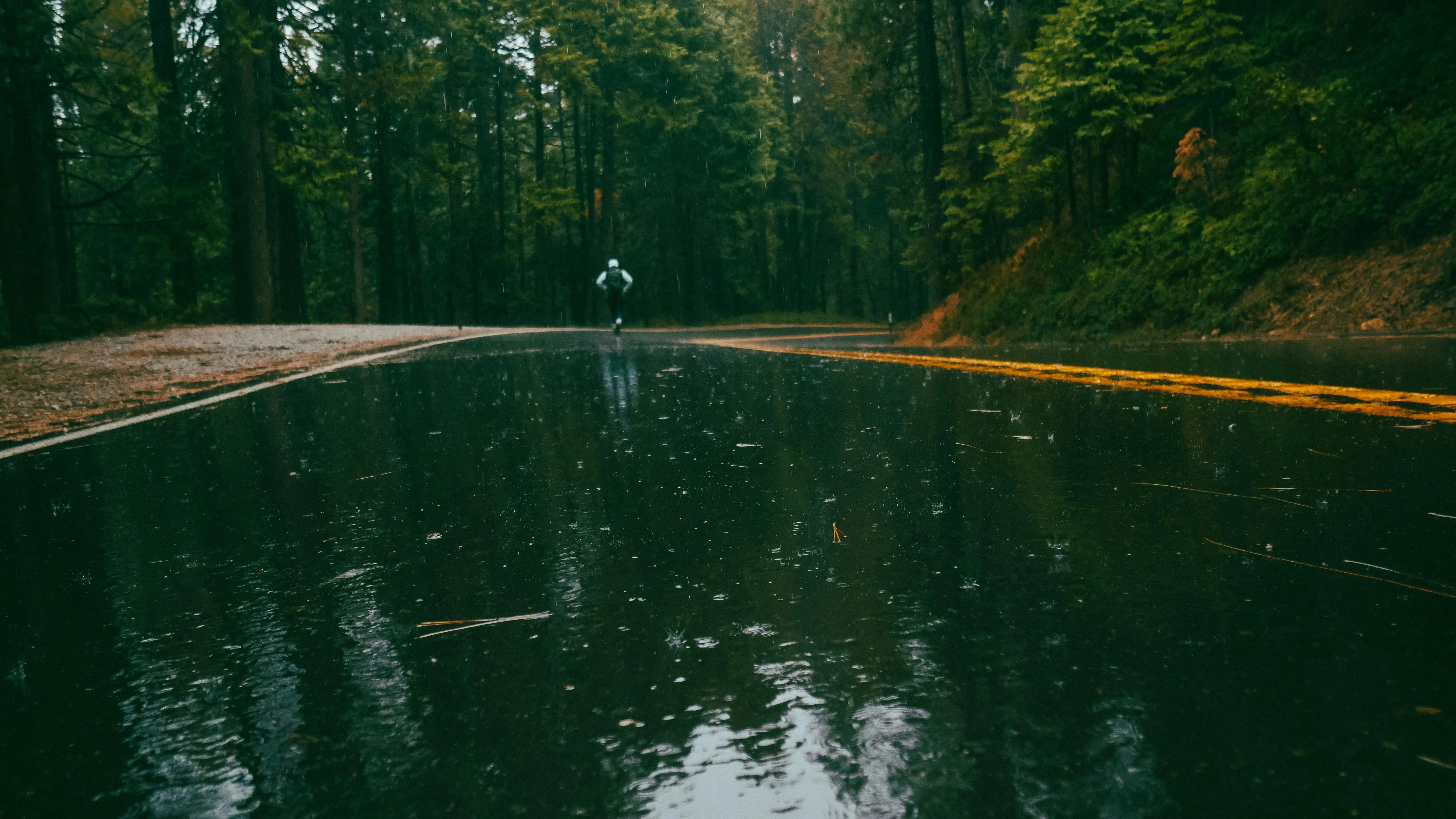 Rainwater Rippling Over Green Pond in Quiet Forest View