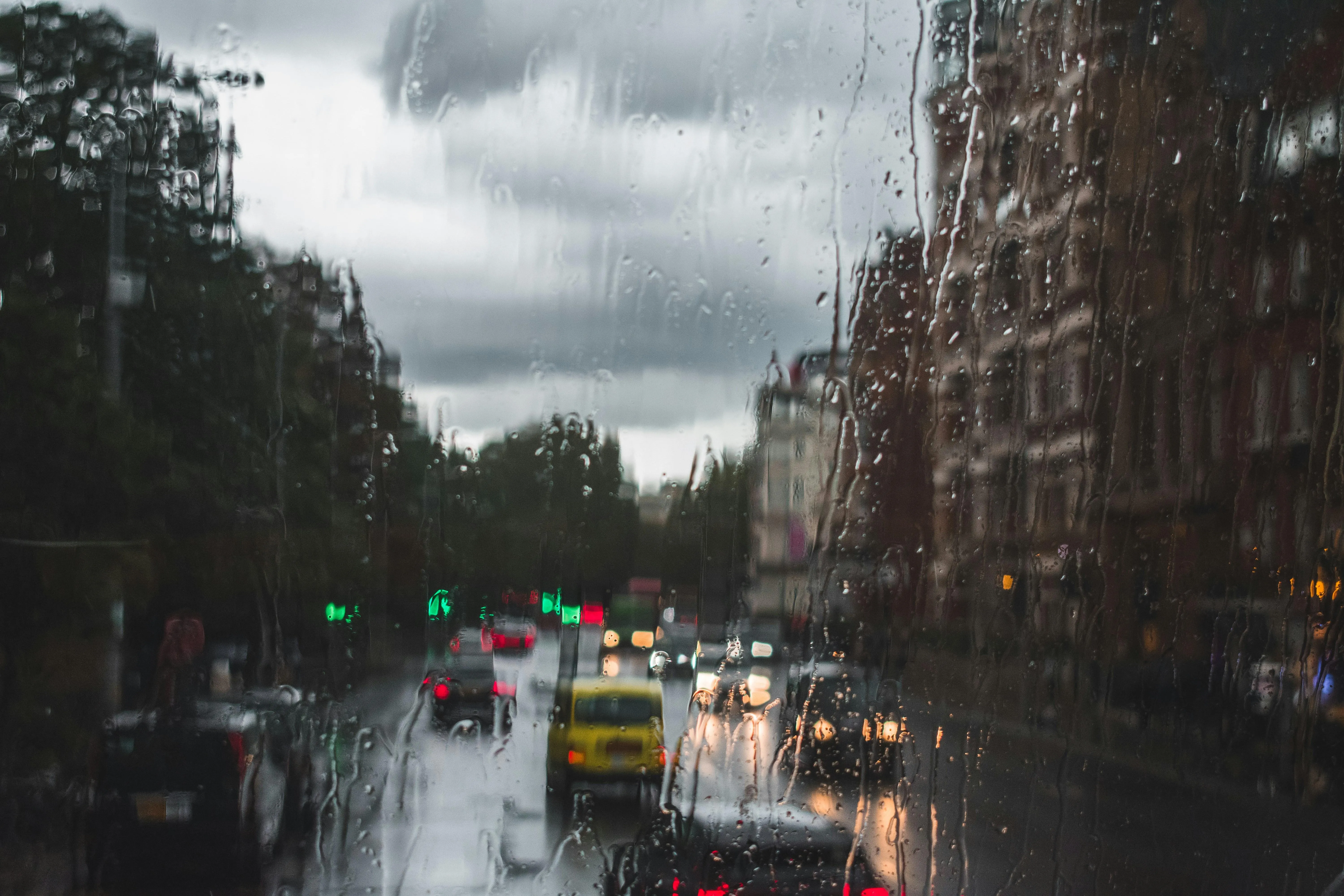 Rainy City Street with Cars and Trees in The Distance