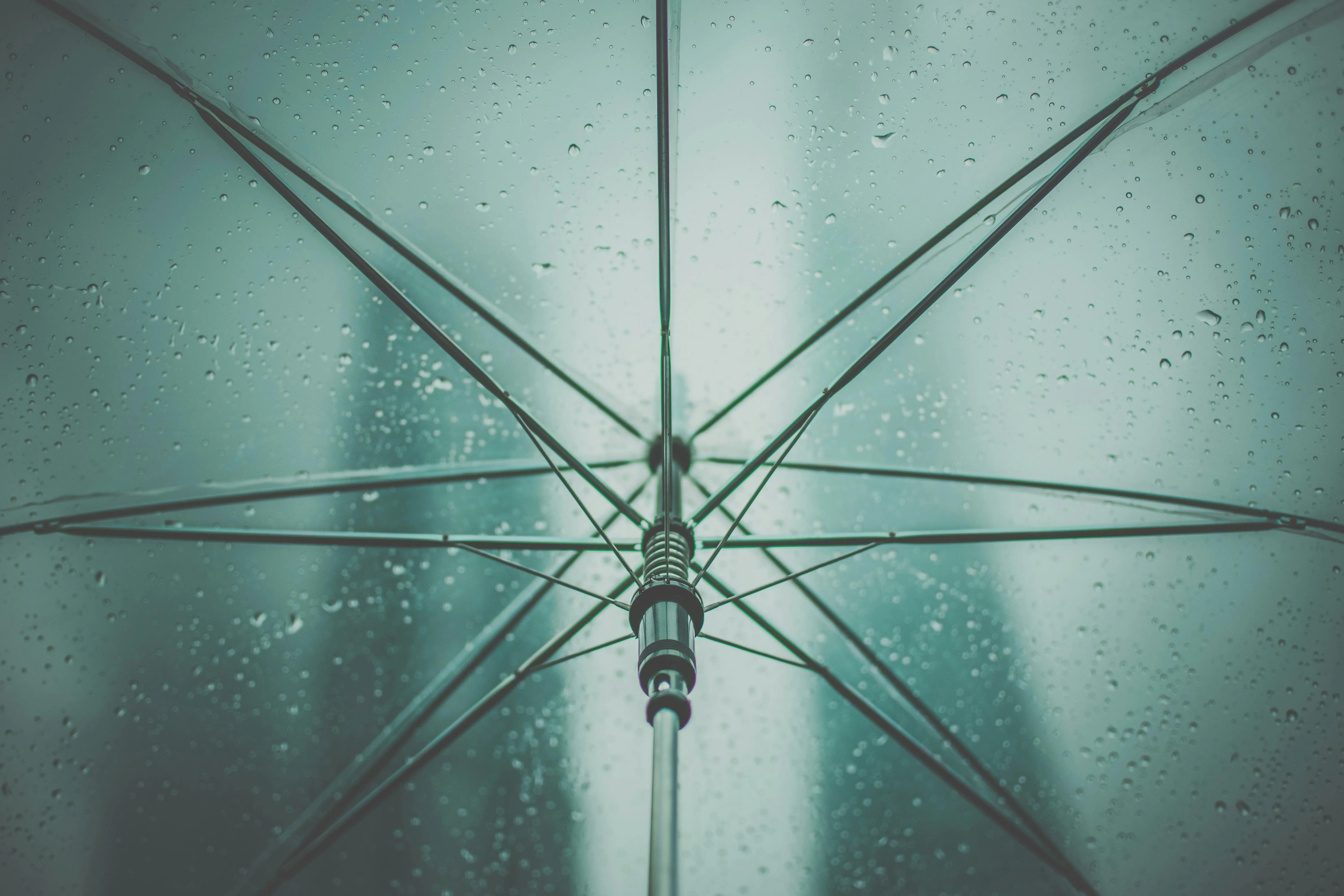 Rainy Day View Under a Clear Umbrella Structure Wallpaper