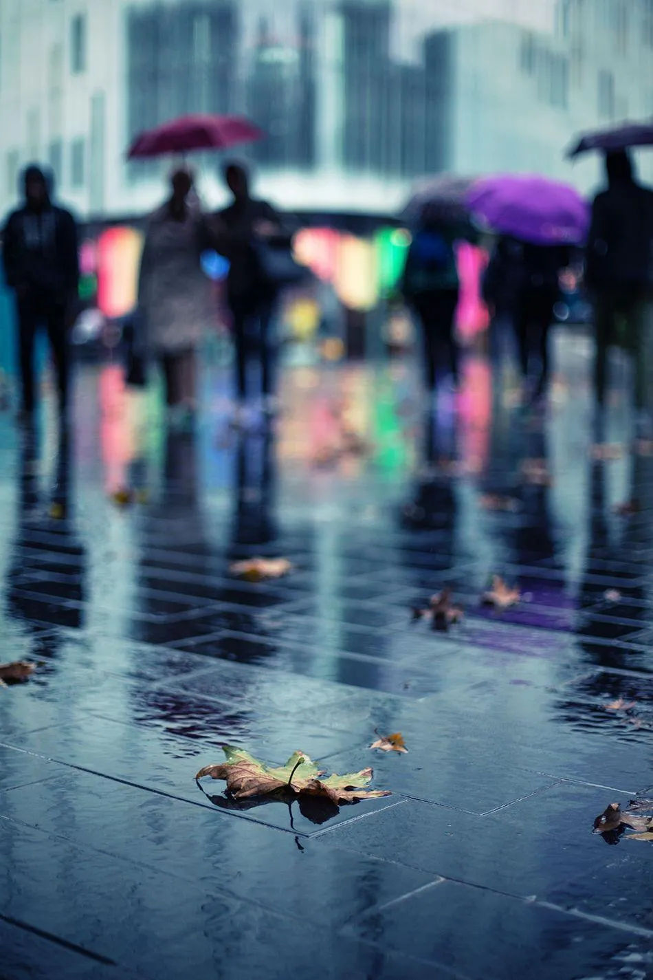 Reflected Lights on Wet Pavement in City Wallpaper