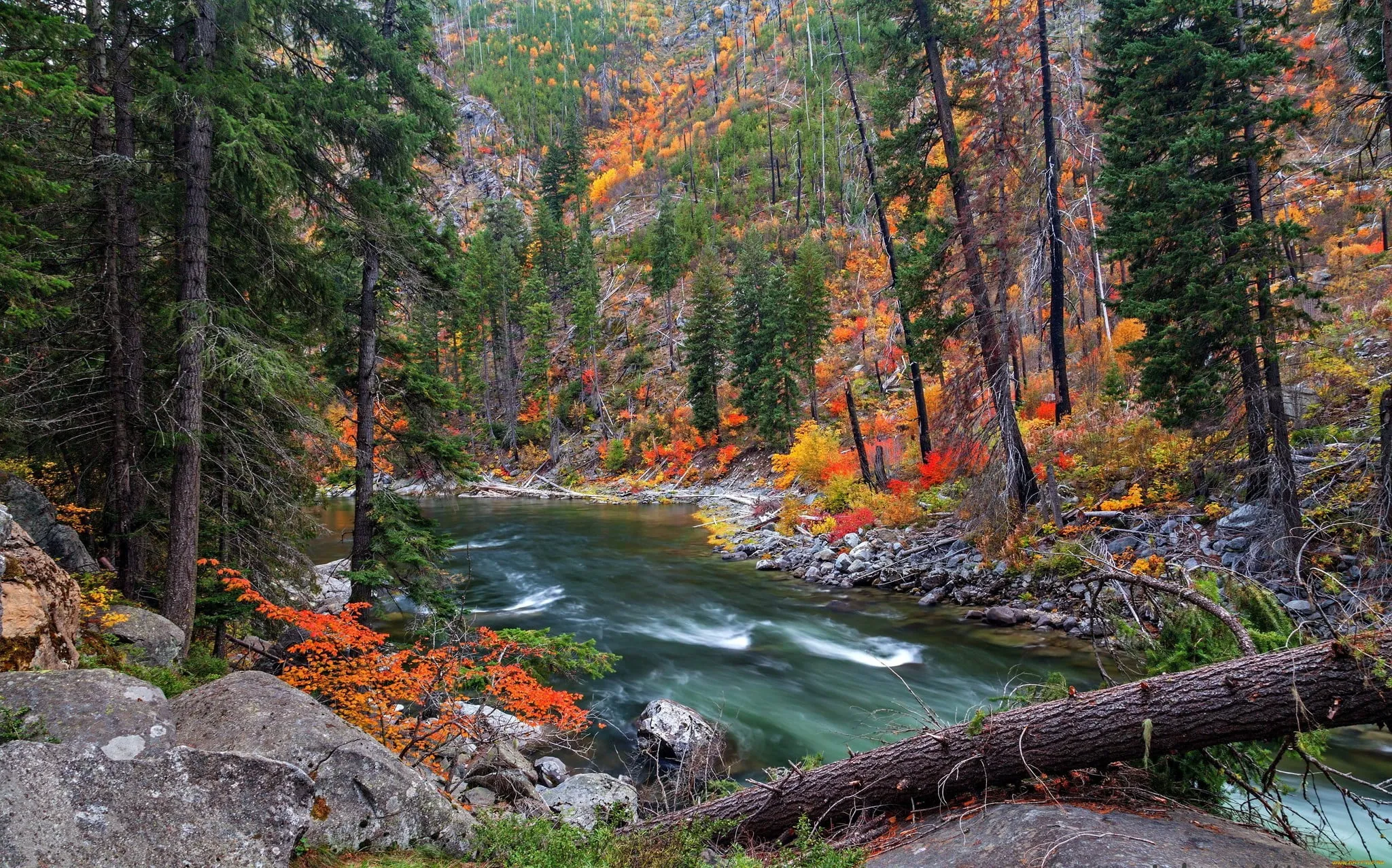 River Flowing Through a Forest with Autumn Colored Trees