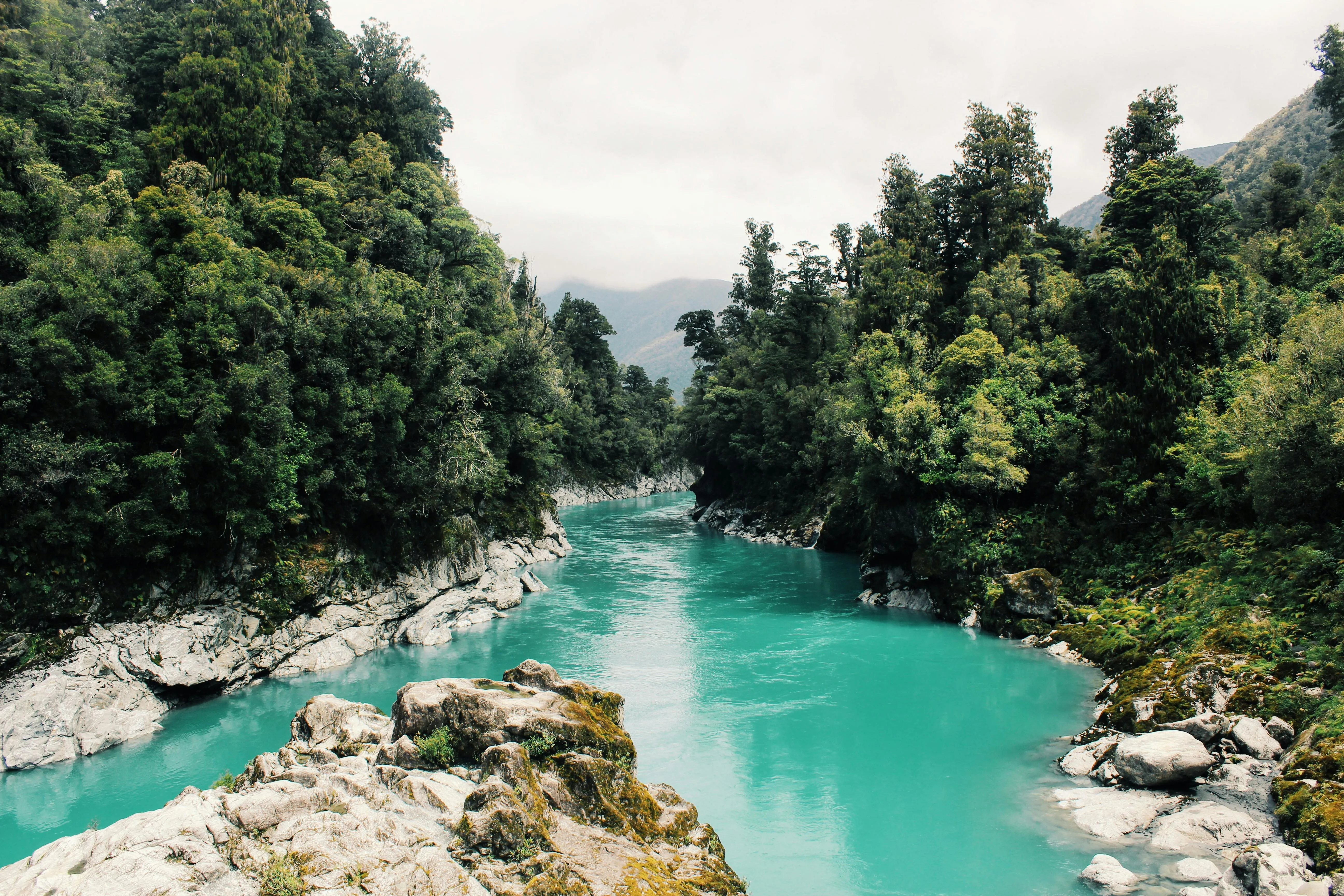 River Flowing Through Forest with Clear Blue Sky Wallpaper