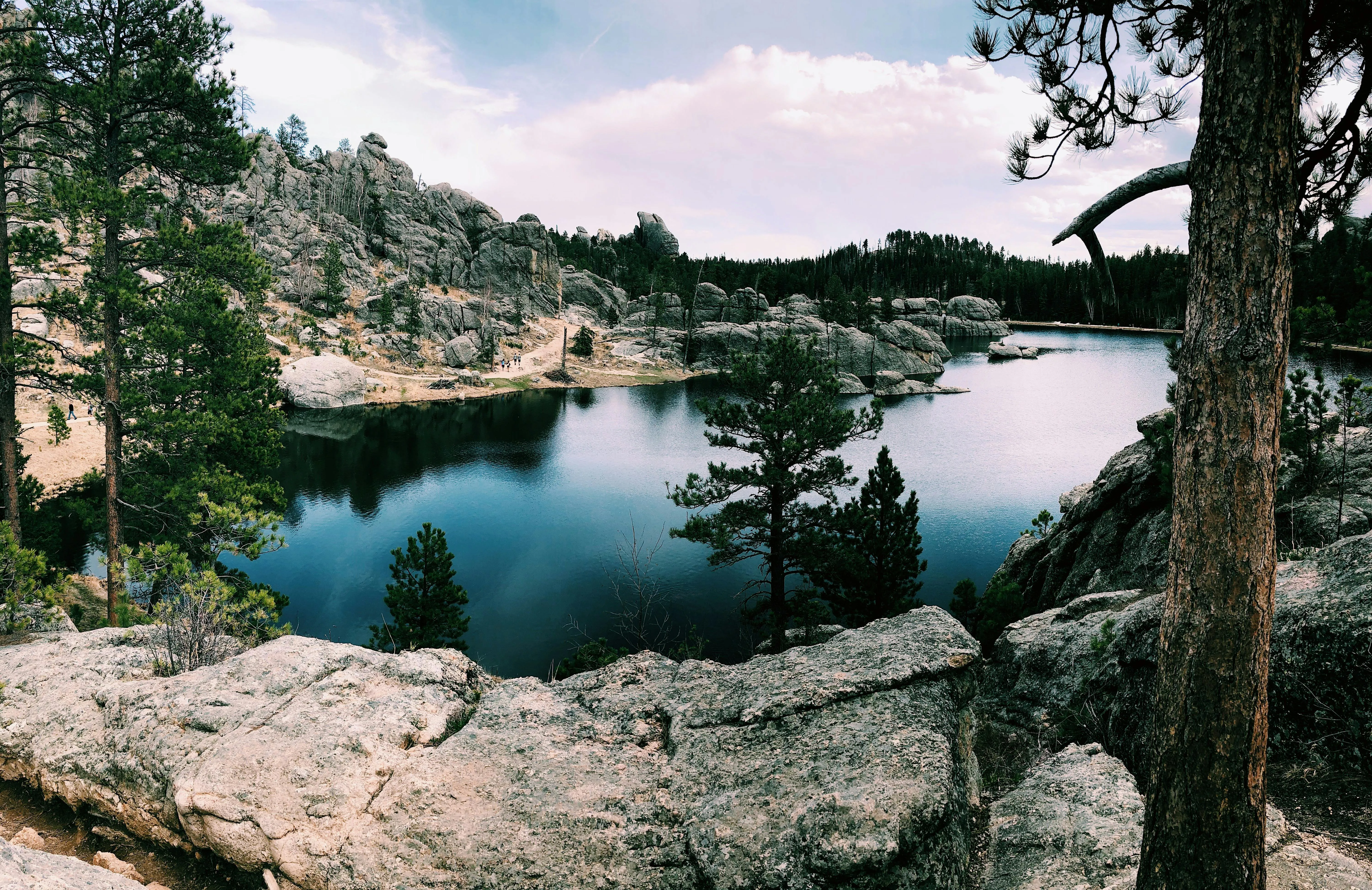 Rocky Lake Shore Surrounded by Pine Trees and Clear Water