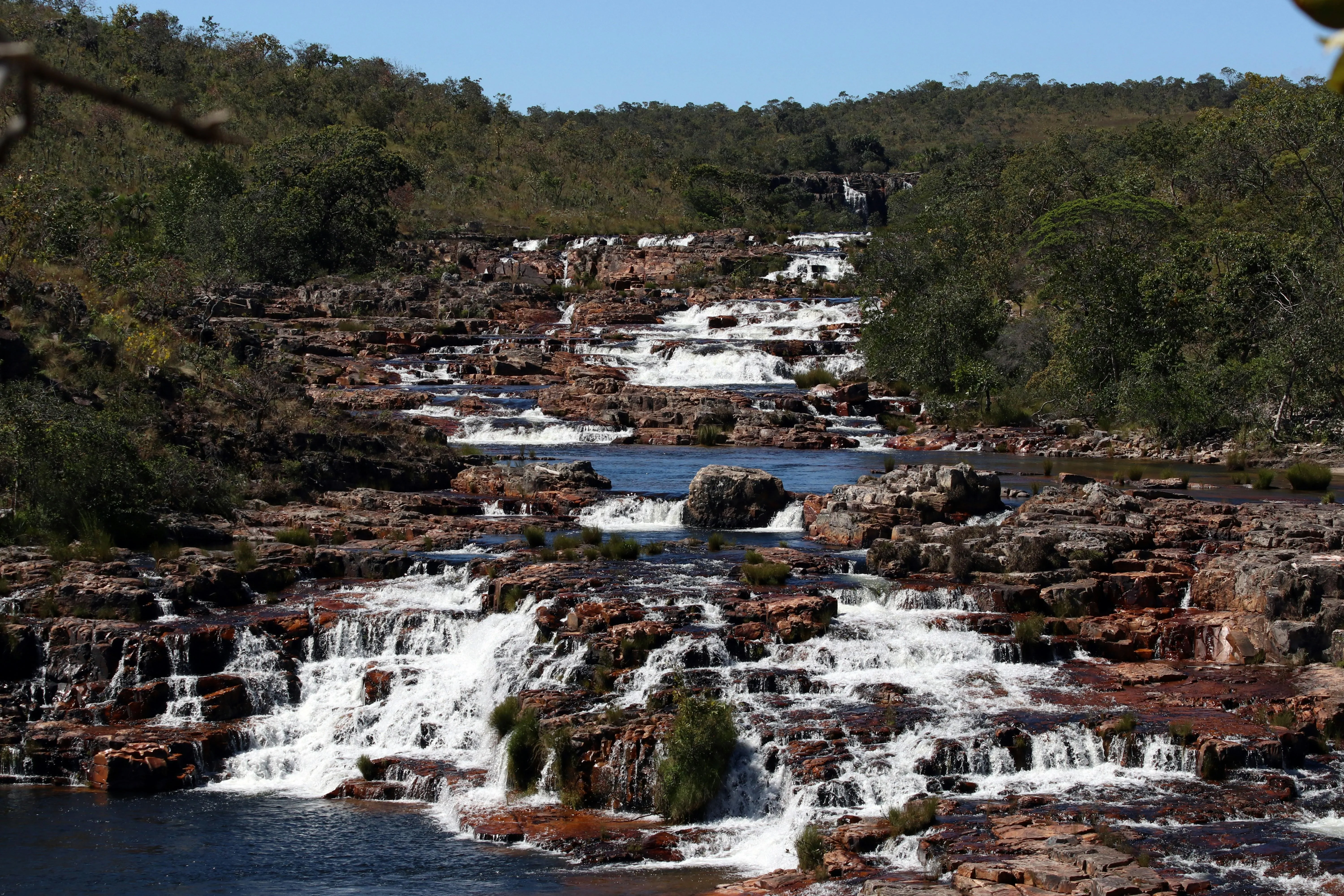 Rocky River Stream Flowing through Pine Tree Forest