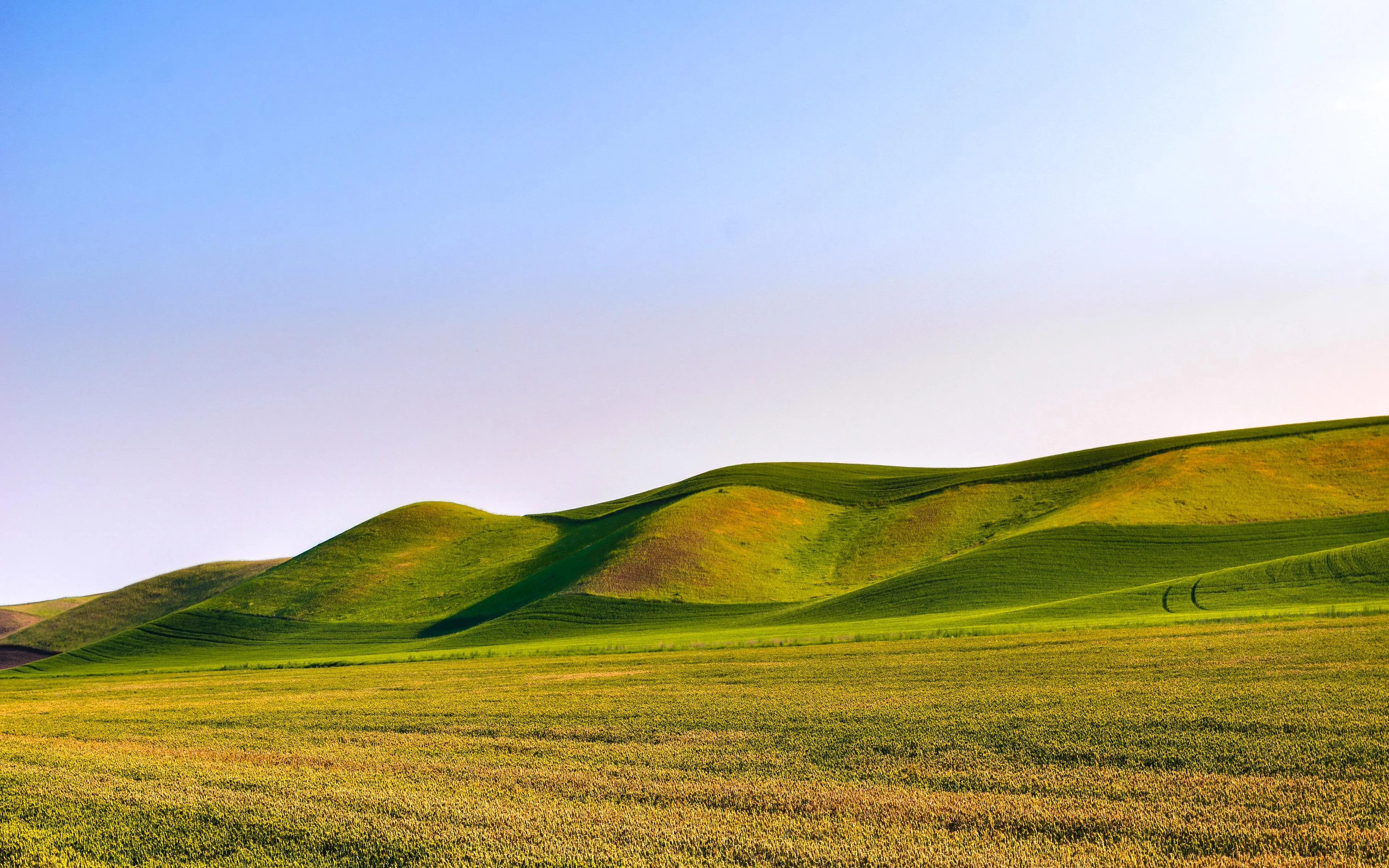 Rolling Green Hills Under a Clear Blue Sky Wallpaper
