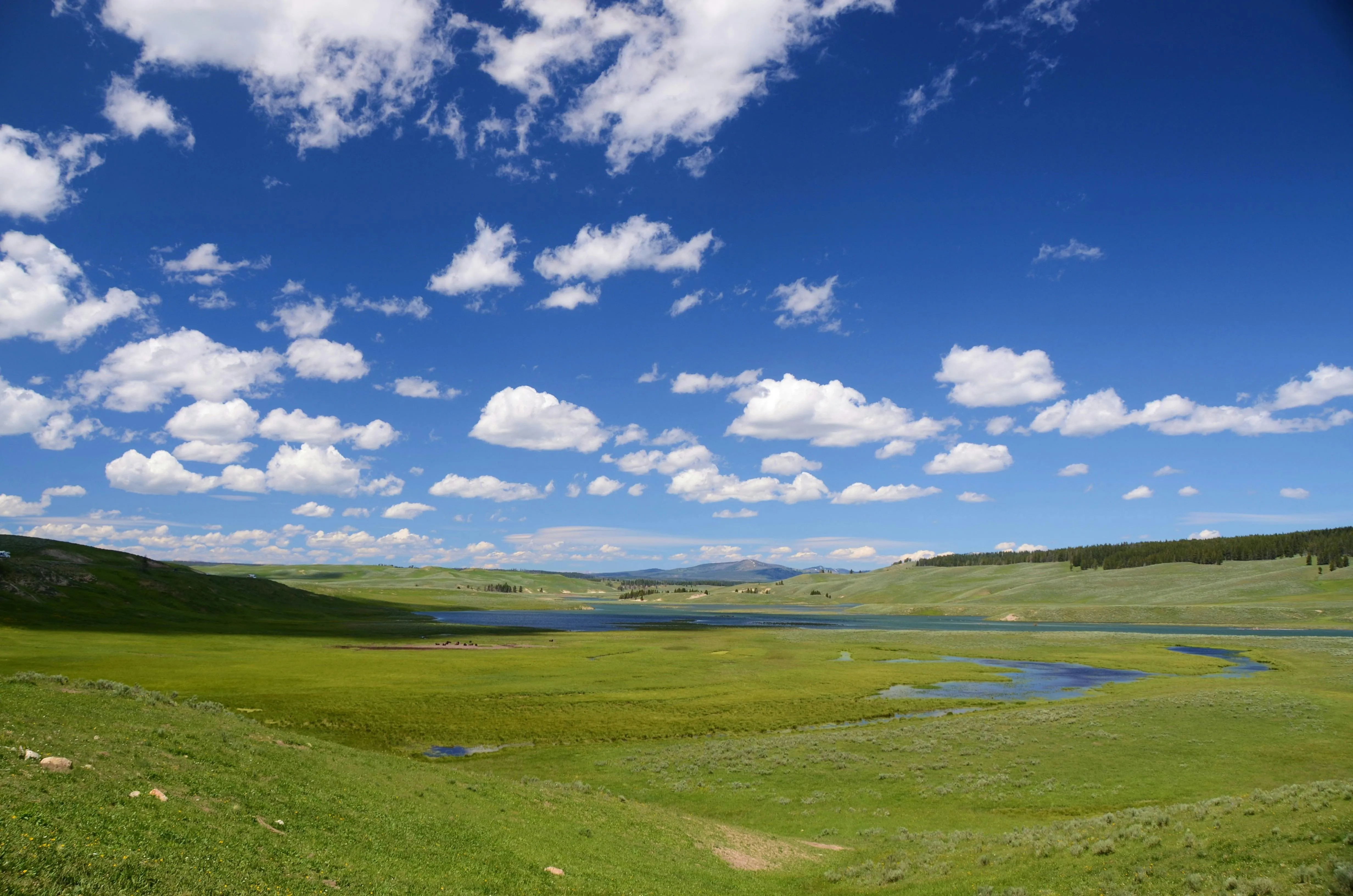 Rolling Green Hills Under a Sky Filled with White Clouds