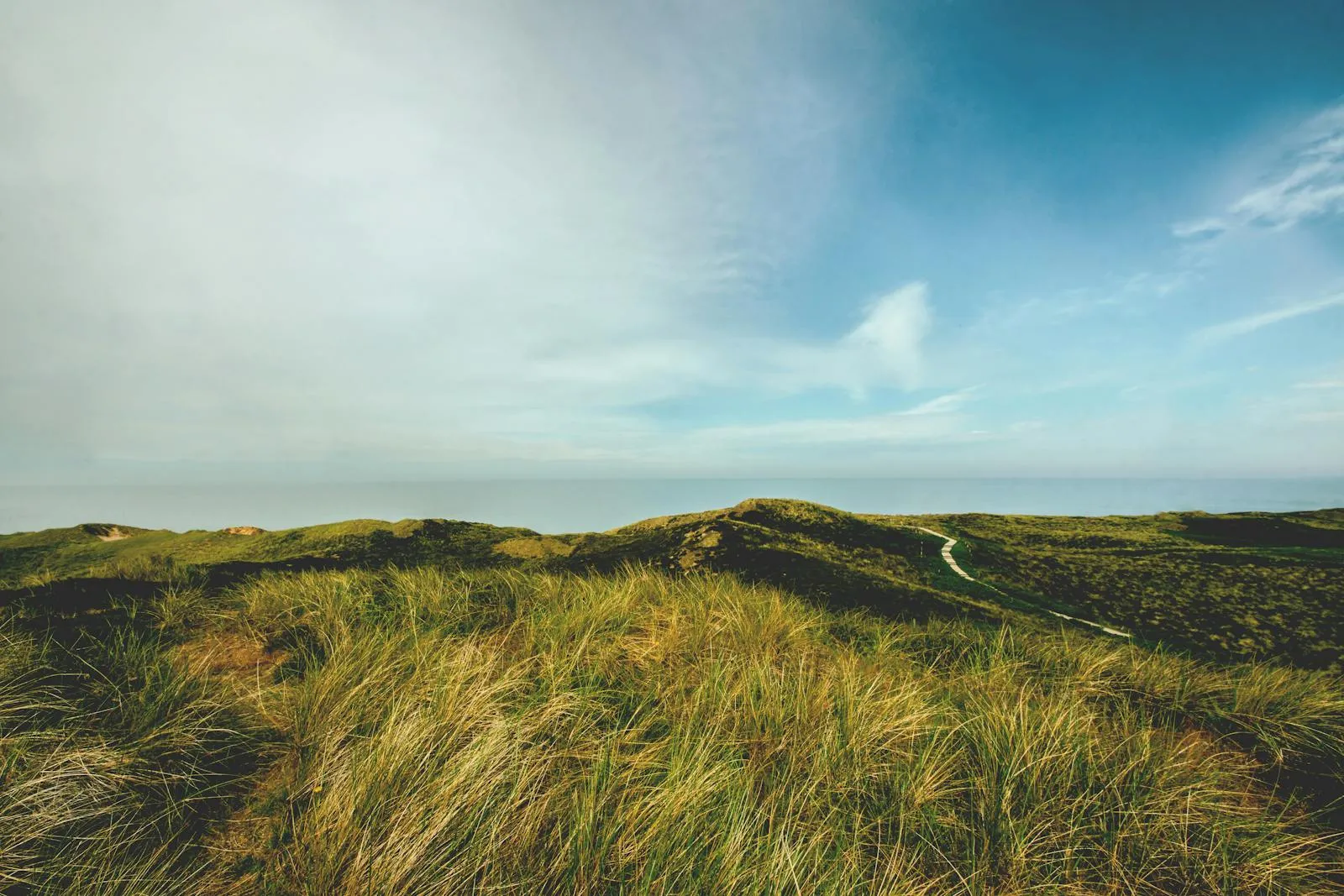 Rolling Green Hills Under Clear Blue Sky with Thin Clouds