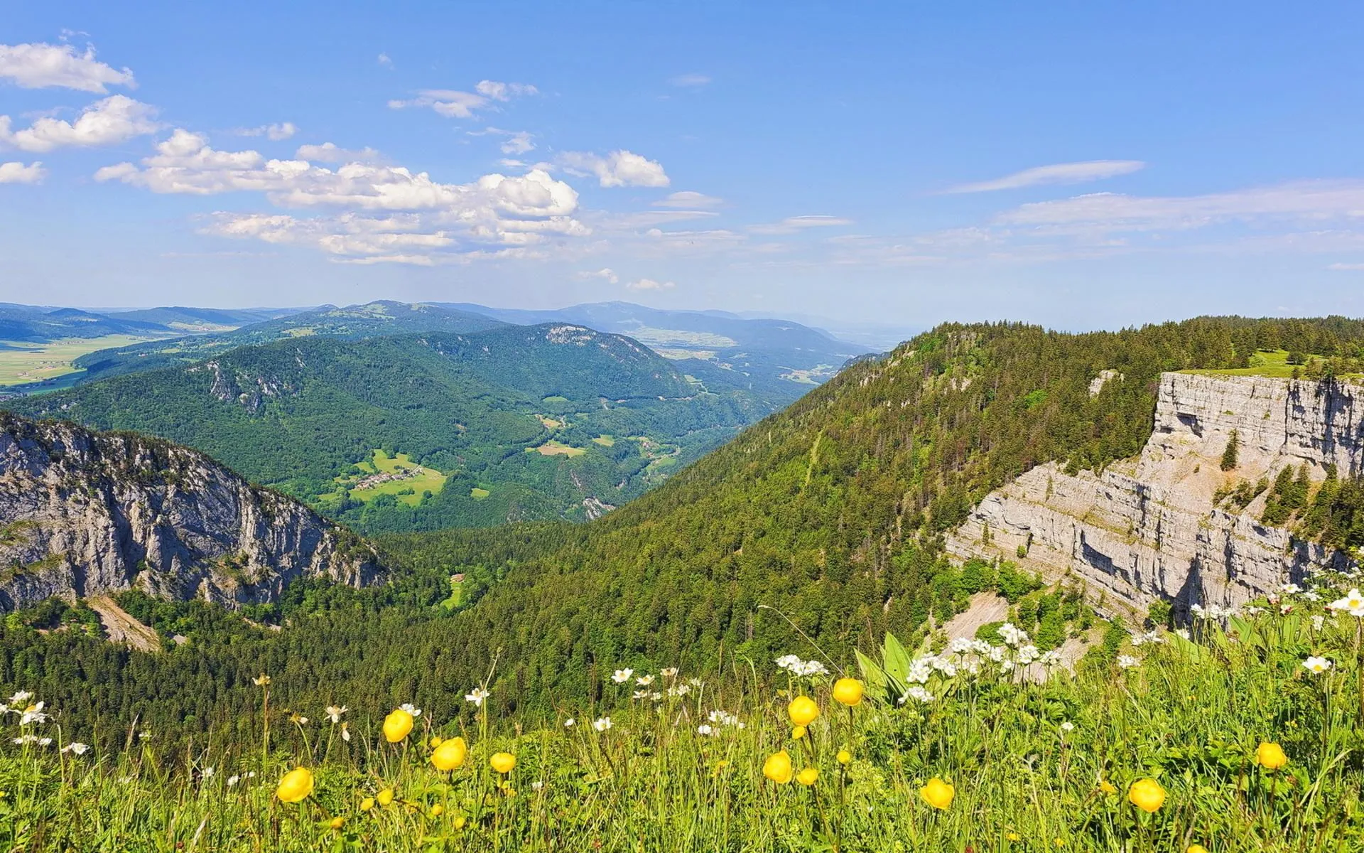 Rolling green hills with blue sky and mountain view