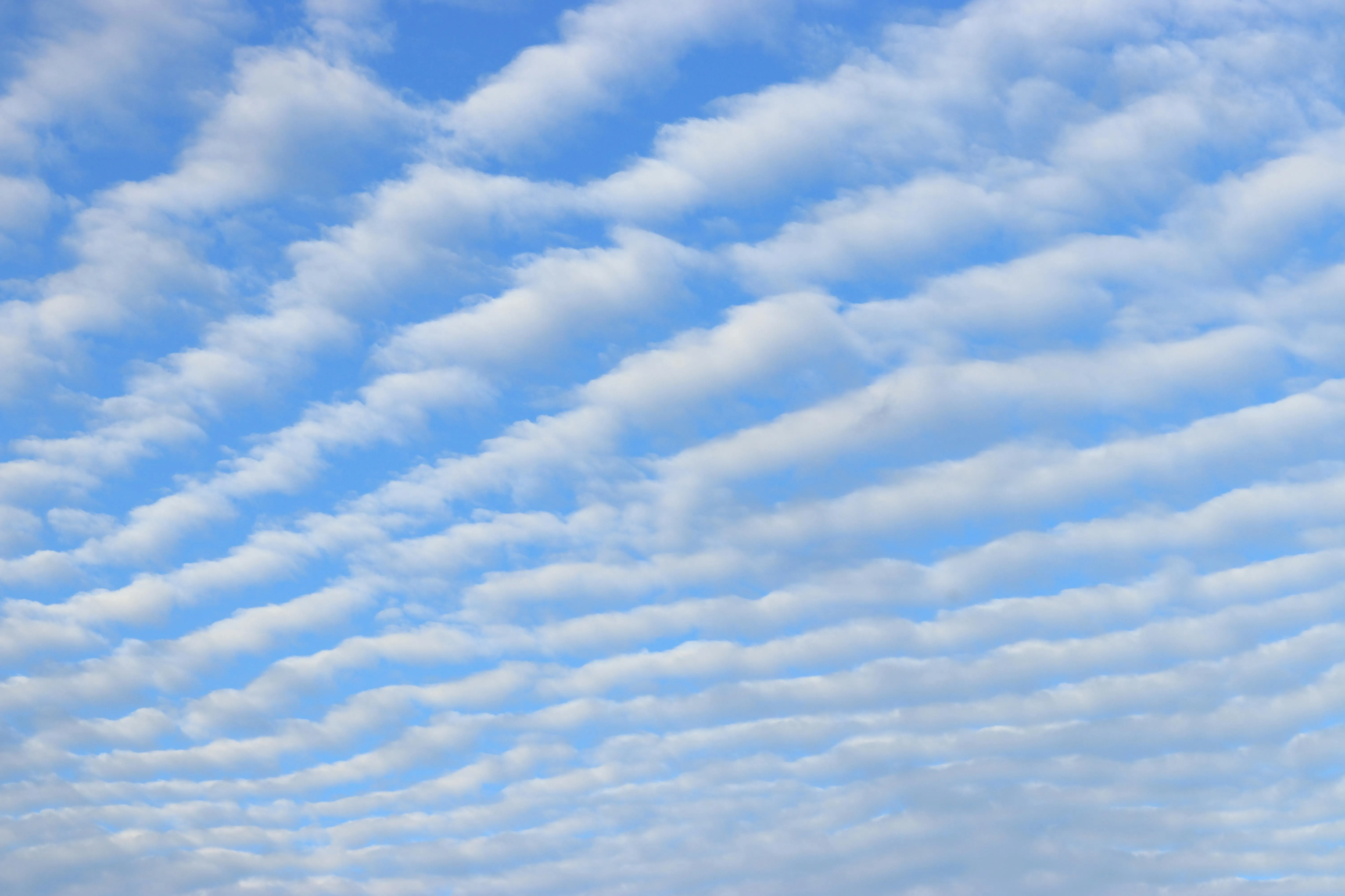 Rows of White Clouds Stretching Across the Clear Blue Sky
