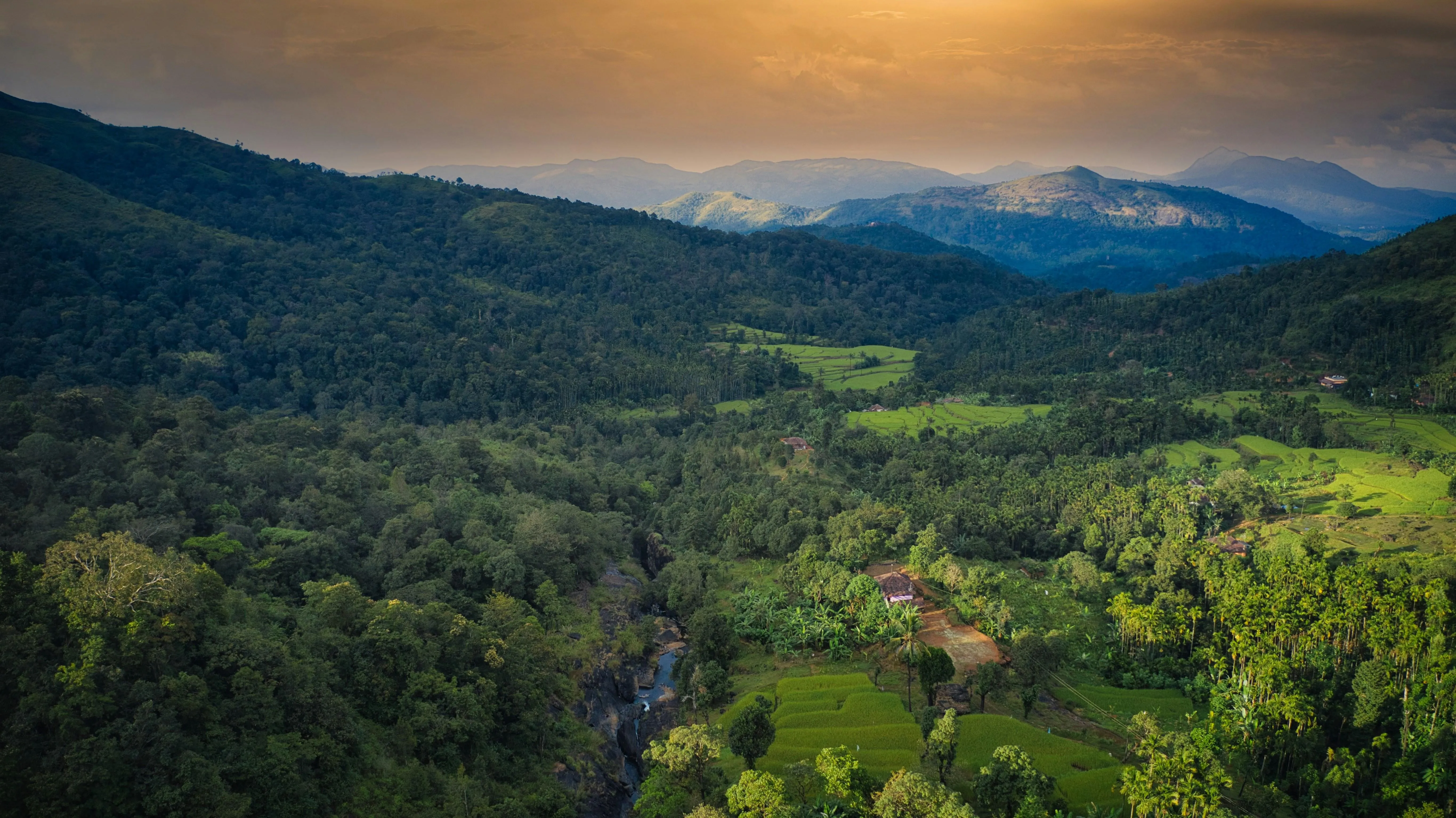 Scenic mountain view with forests under blue sky image