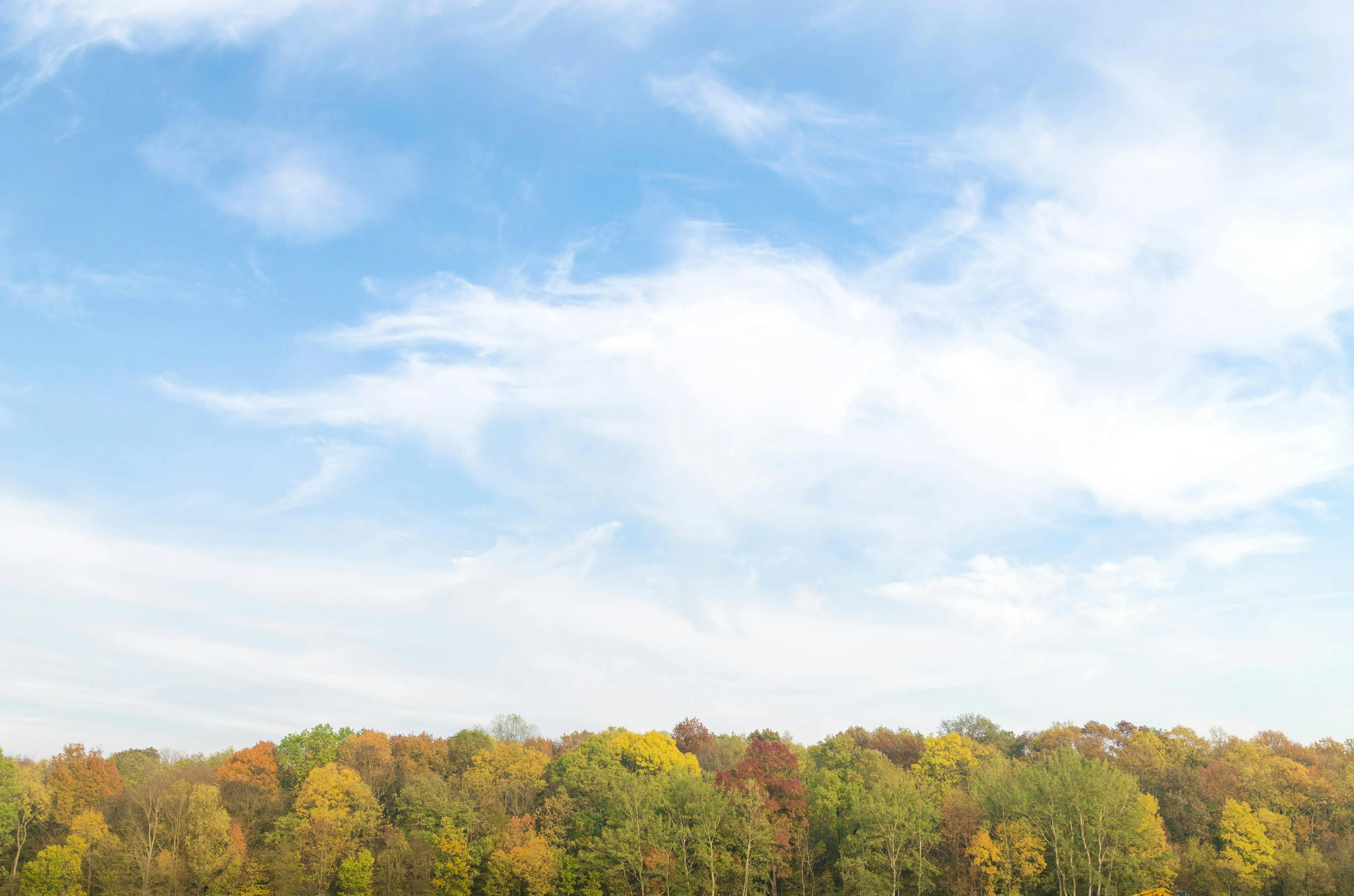 Serene Blue Sky with Scattered White Clouds Over Trees