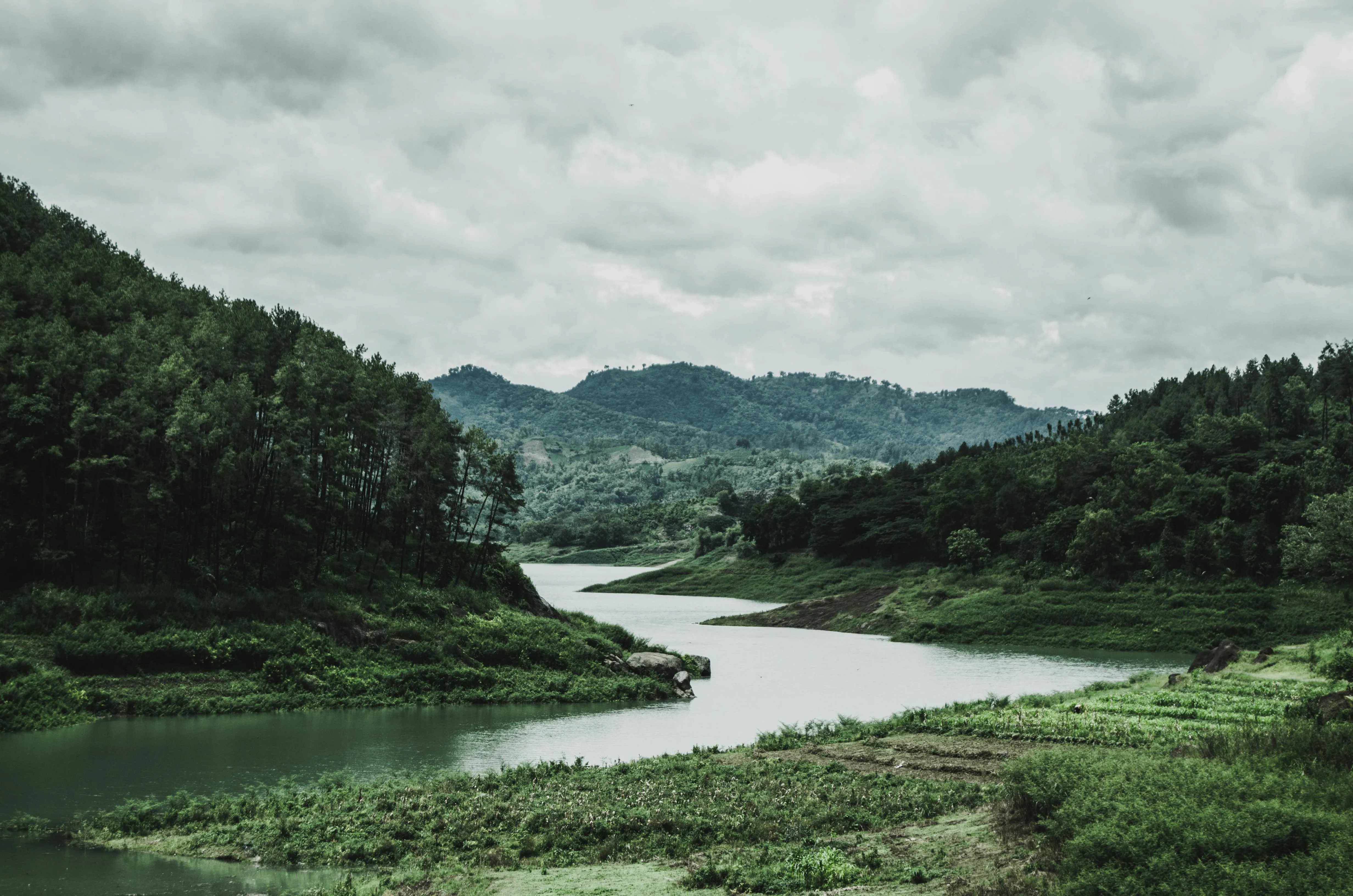Serene River Meandering Through Green Forest Under Cloudy Sky