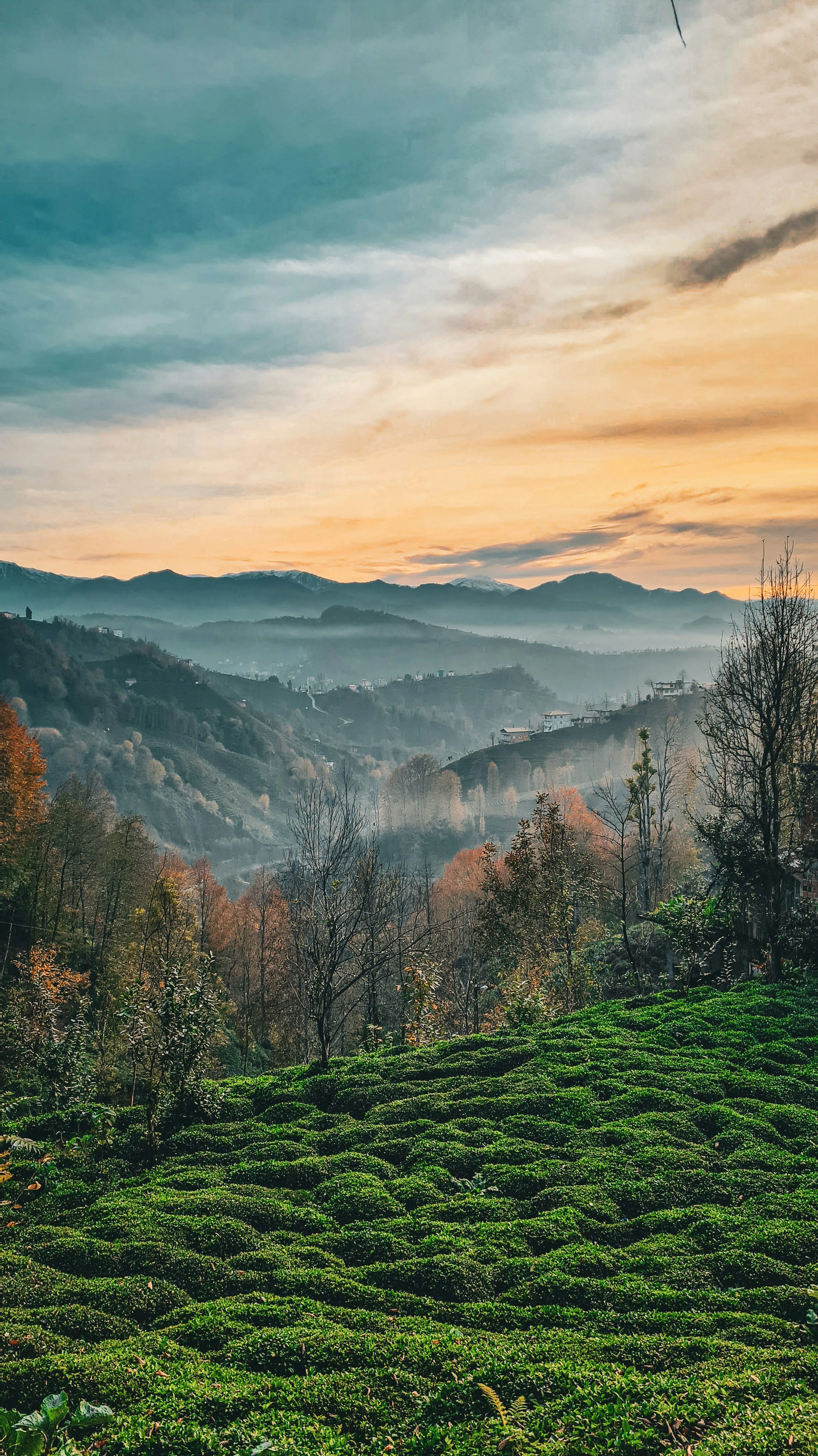 Serene Sunset Sky Over Green Hills and Autumn Trees