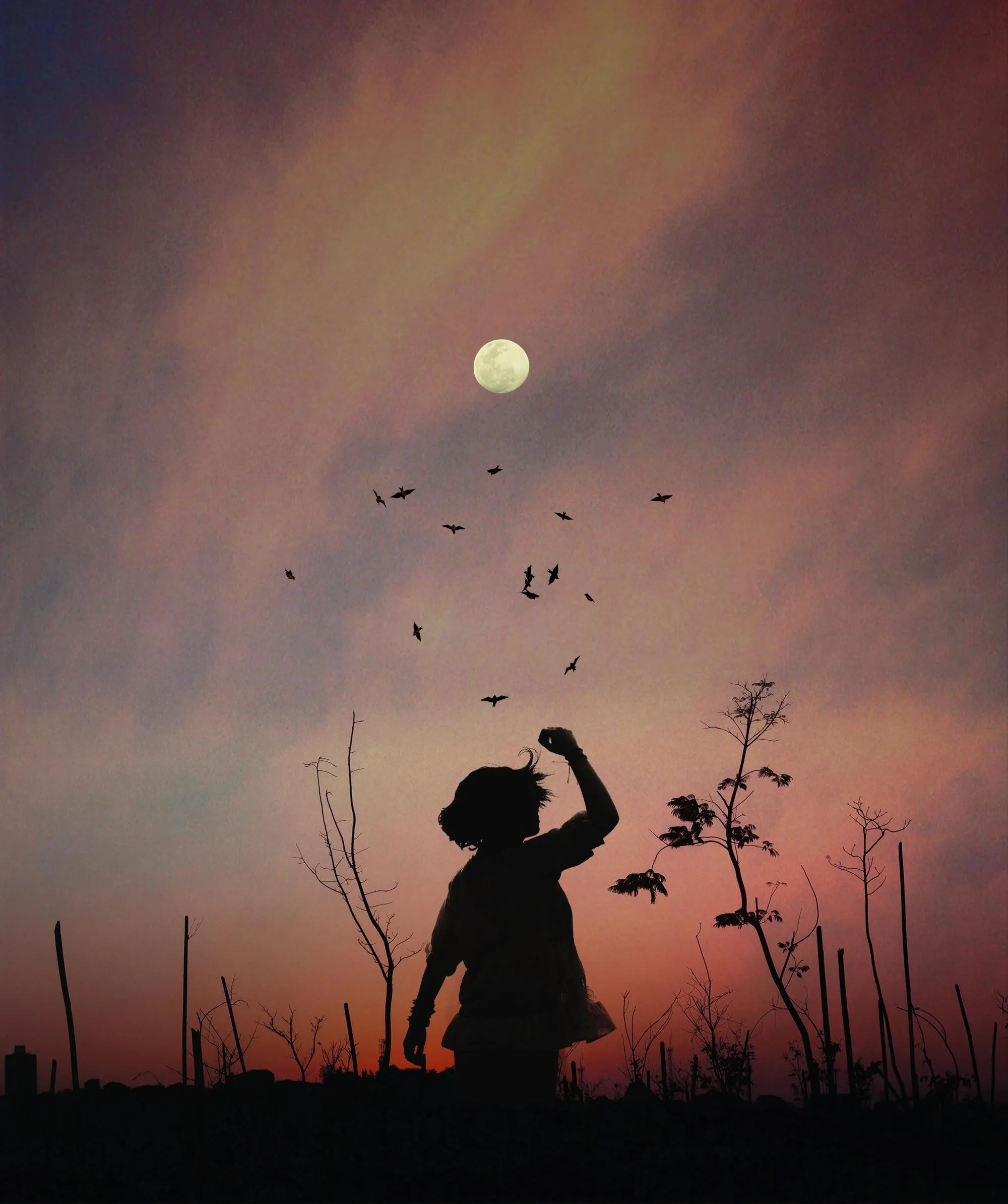 Silhouette of Person with Birds Flying Against a Cloudy Sky