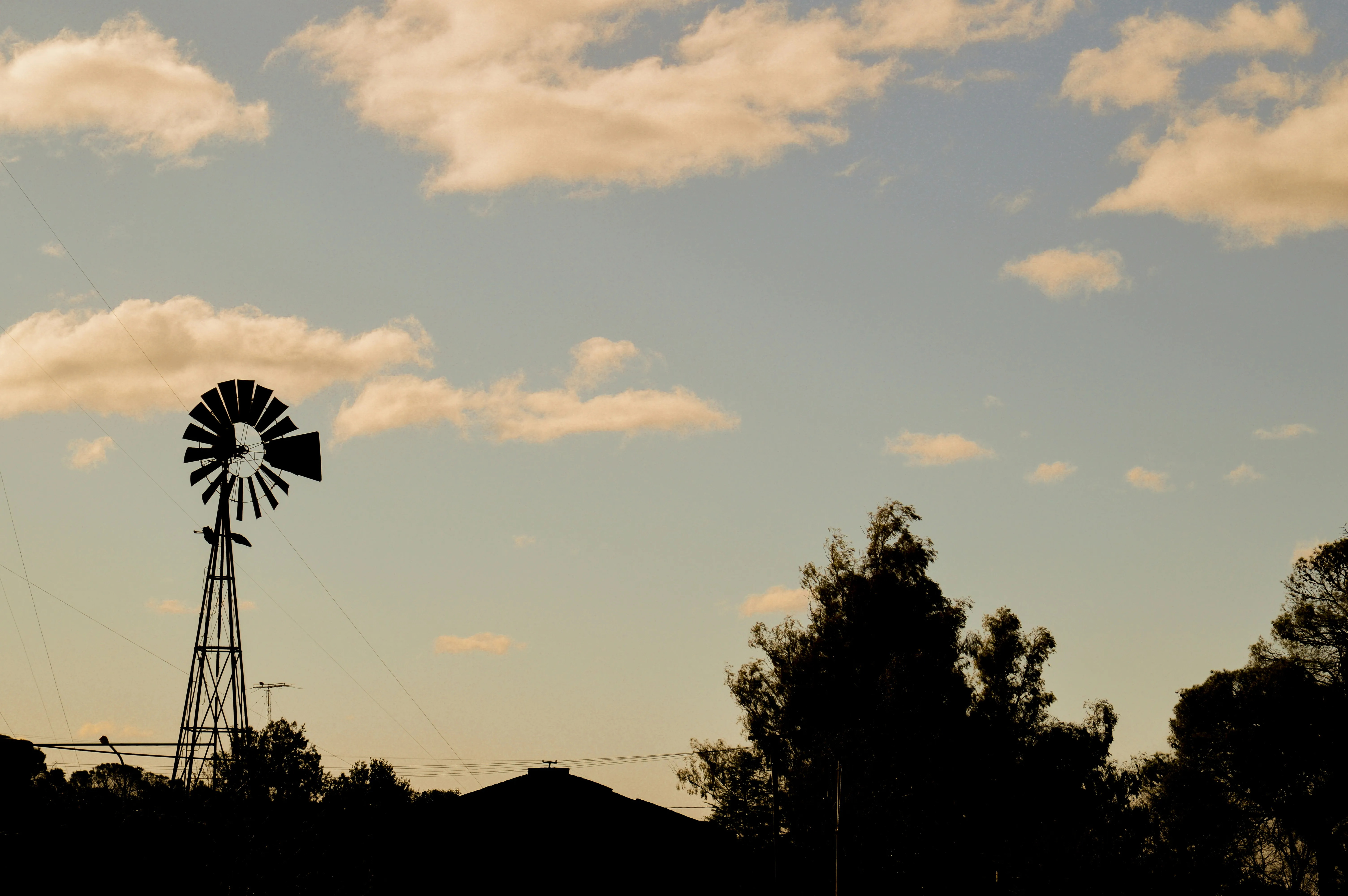 Silhouette of Windmill and Trees with Evening Sky and Clouds