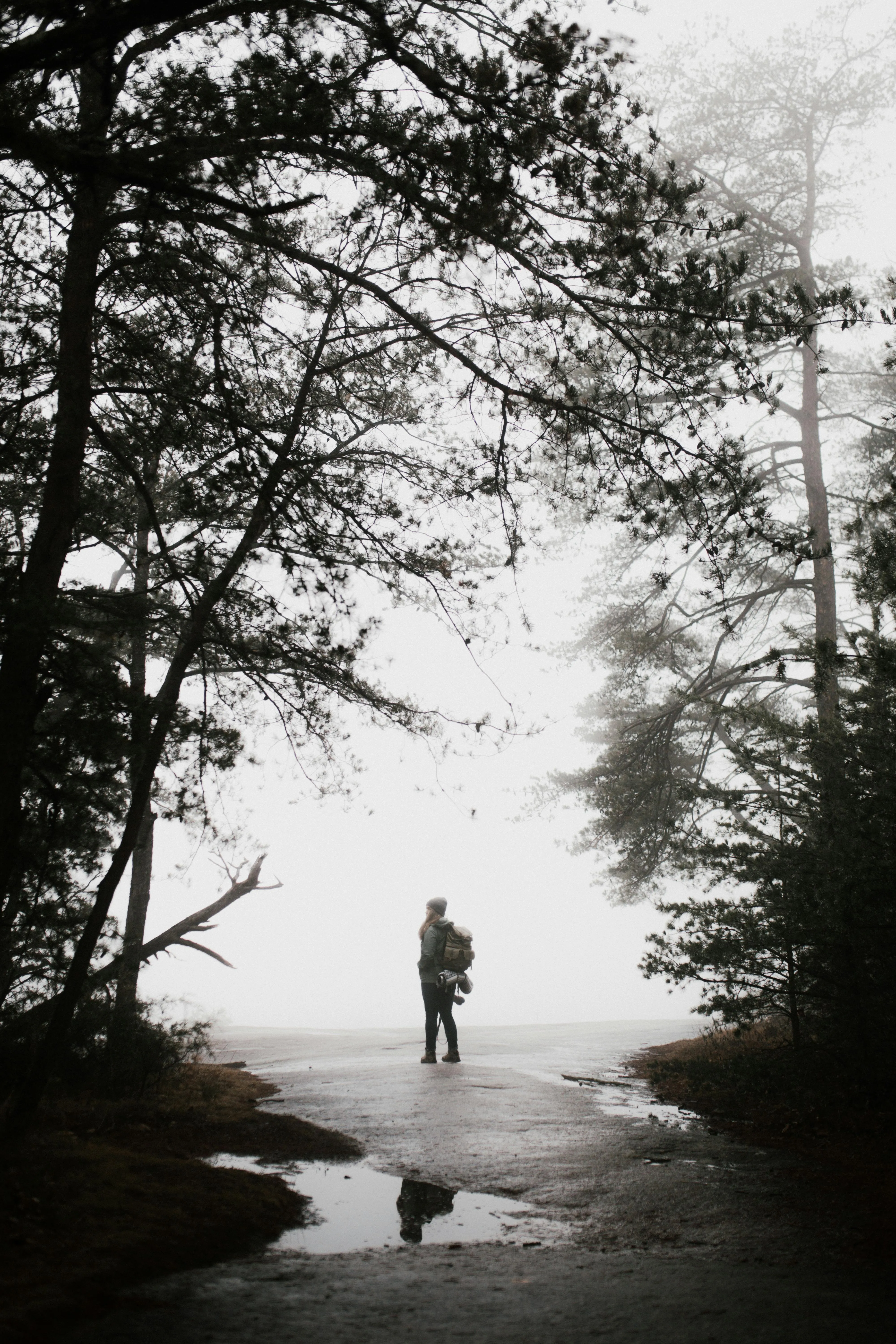 Silhouette of Person Walking on Misty Forest Path by Water