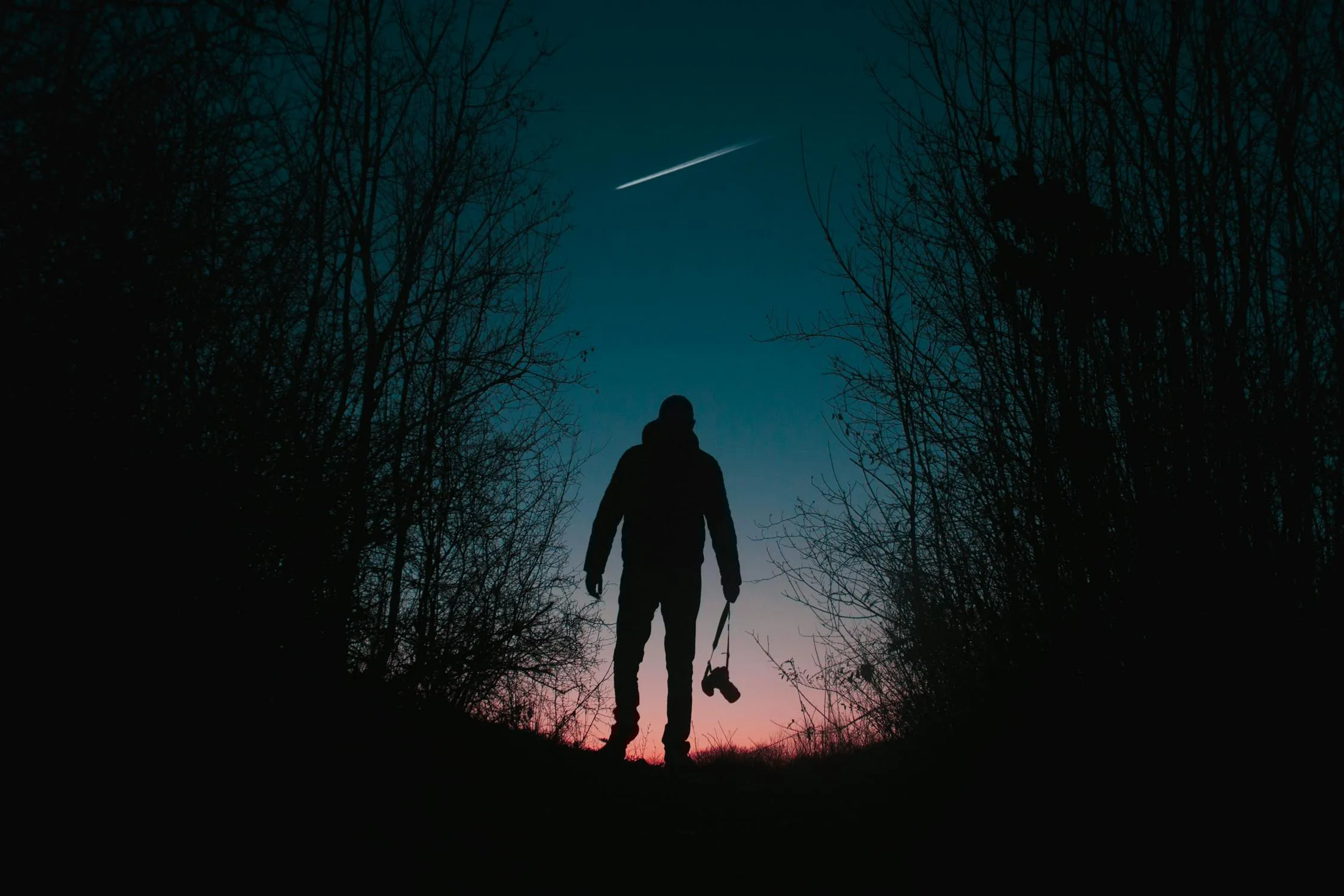 Silhouetted Person Standing Alone in Dark Forest at Night