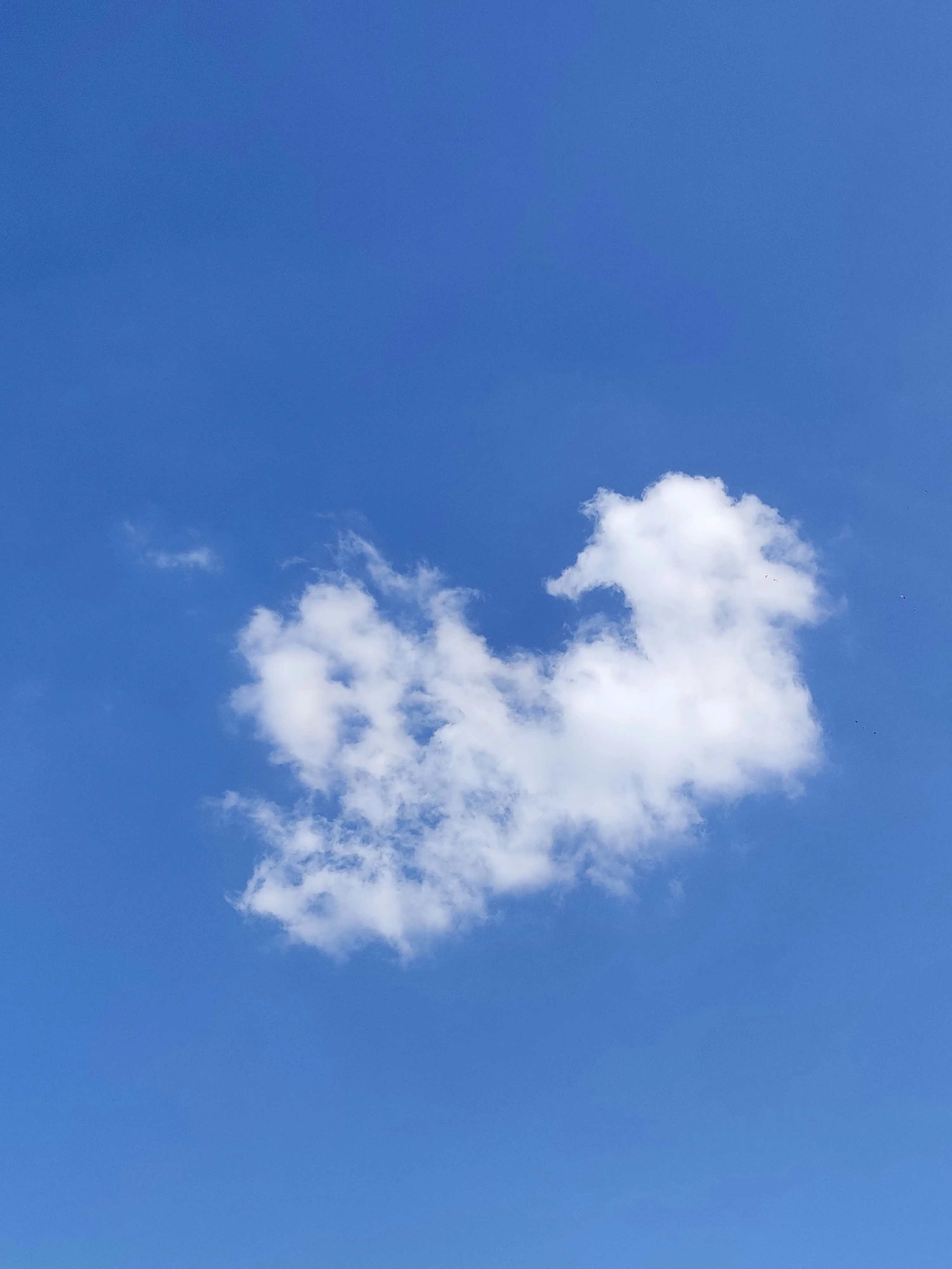 Single White Cloud Drifting in Wide Blue Sky Image
