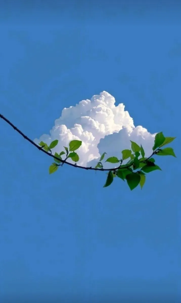 Single White Cloud Floating Near a Green Leaf Branch